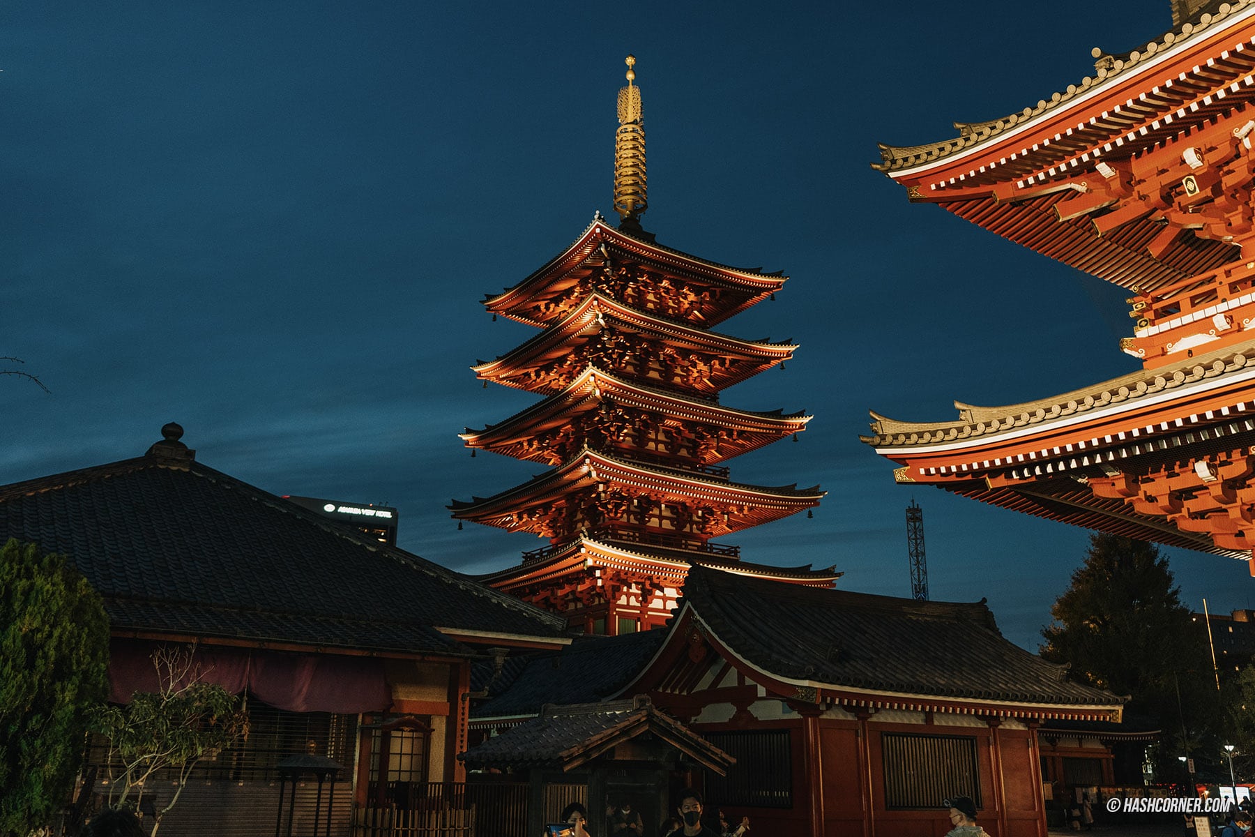 รีวิว อาซากุสะ (Asakusa) x โตเกียว ขอพรวัดเซ็นโซจิ ชมวิวเมือง