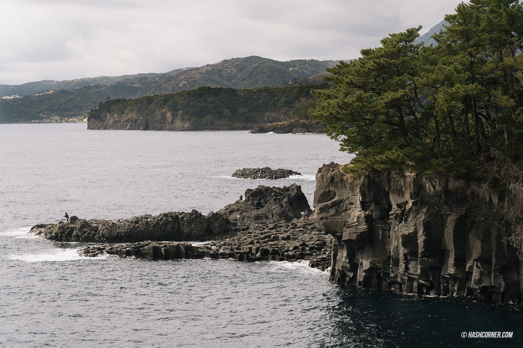 รีวิว ชายฝั่งโจกาซากิ (Jogasaki Coast) x อิโตะ เที่ยวชมธรรมชาติเลียบชายฝั่ง