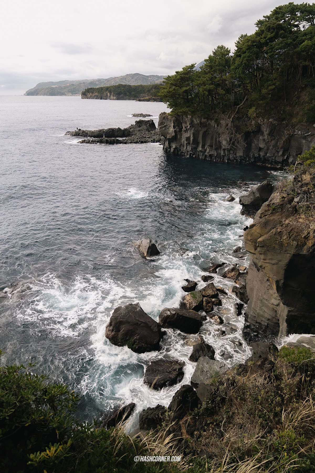 รีวิว ชายฝั่งโจกาซากิ (Jogasaki Coast) x อิโตะ เที่ยวชมธรรมชาติเลียบชายฝั่ง