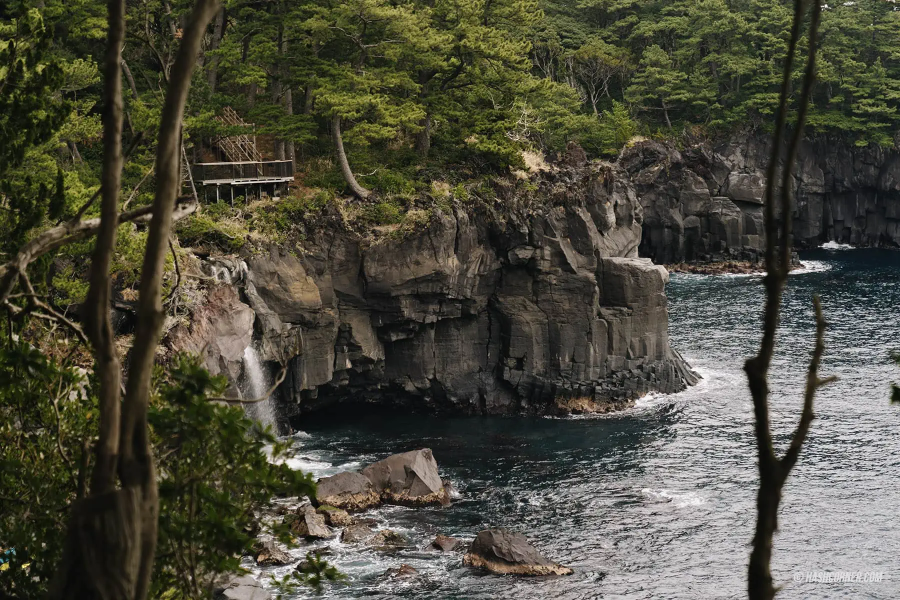 รีวิว ชายฝั่งโจกาซากิ (Jogasaki Coast) x อิโตะ เที่ยวชมธรรมชาติเลียบชายฝั่ง