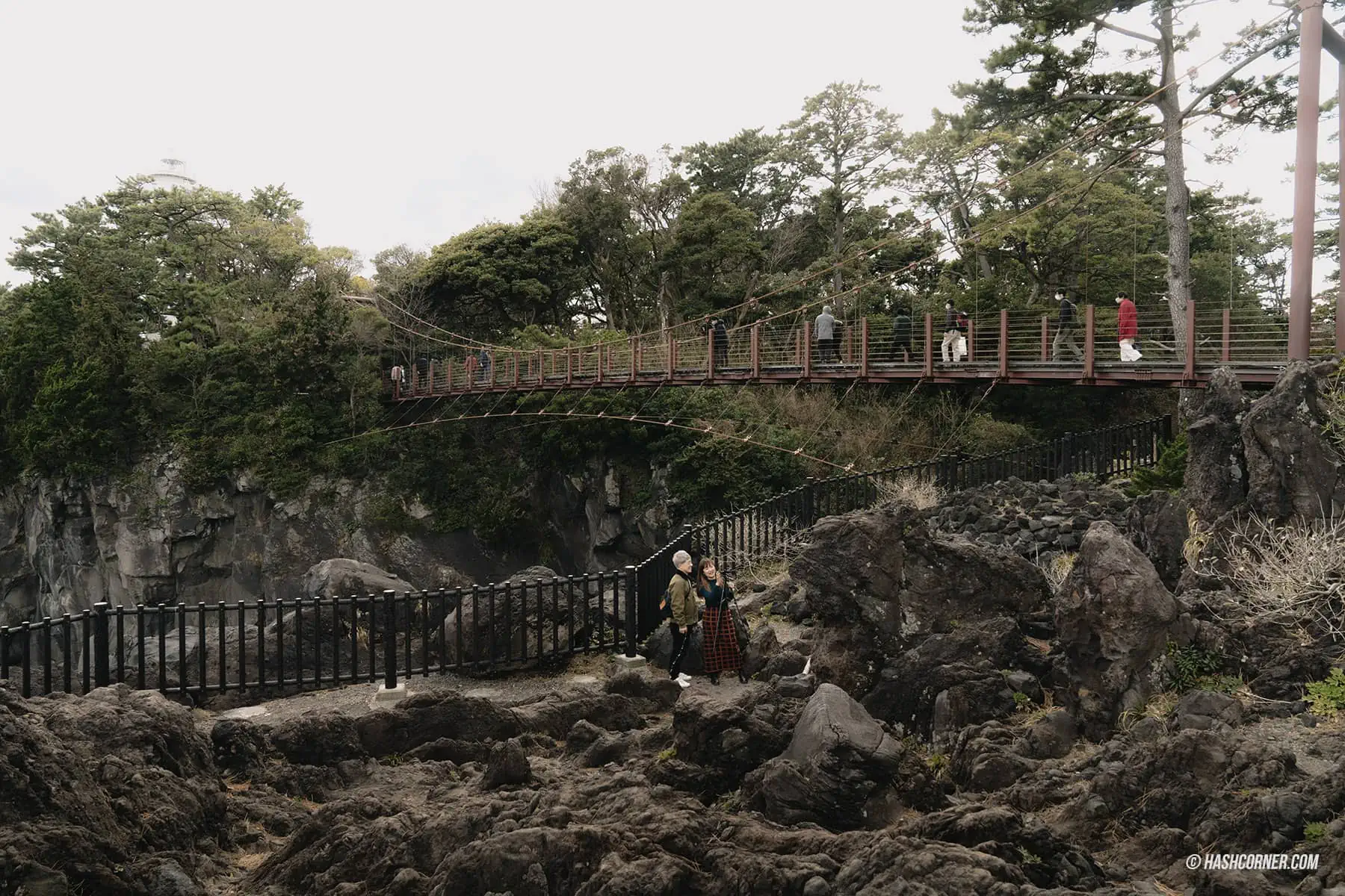 รีวิว ชายฝั่งโจกาซากิ (Jogasaki Coast) x อิโตะ เที่ยวชมธรรมชาติเลียบชายฝั่ง
