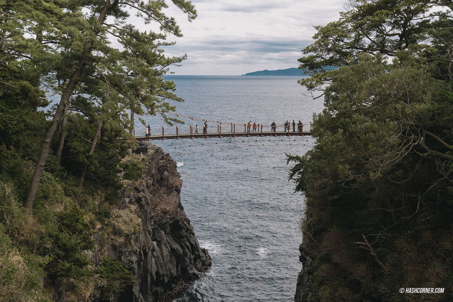 รีวิว ชายฝั่งโจกาซากิ (Jogasaki Coast) x อิโตะ เที่ยวชมธรรมชาติเลียบชายฝั่ง