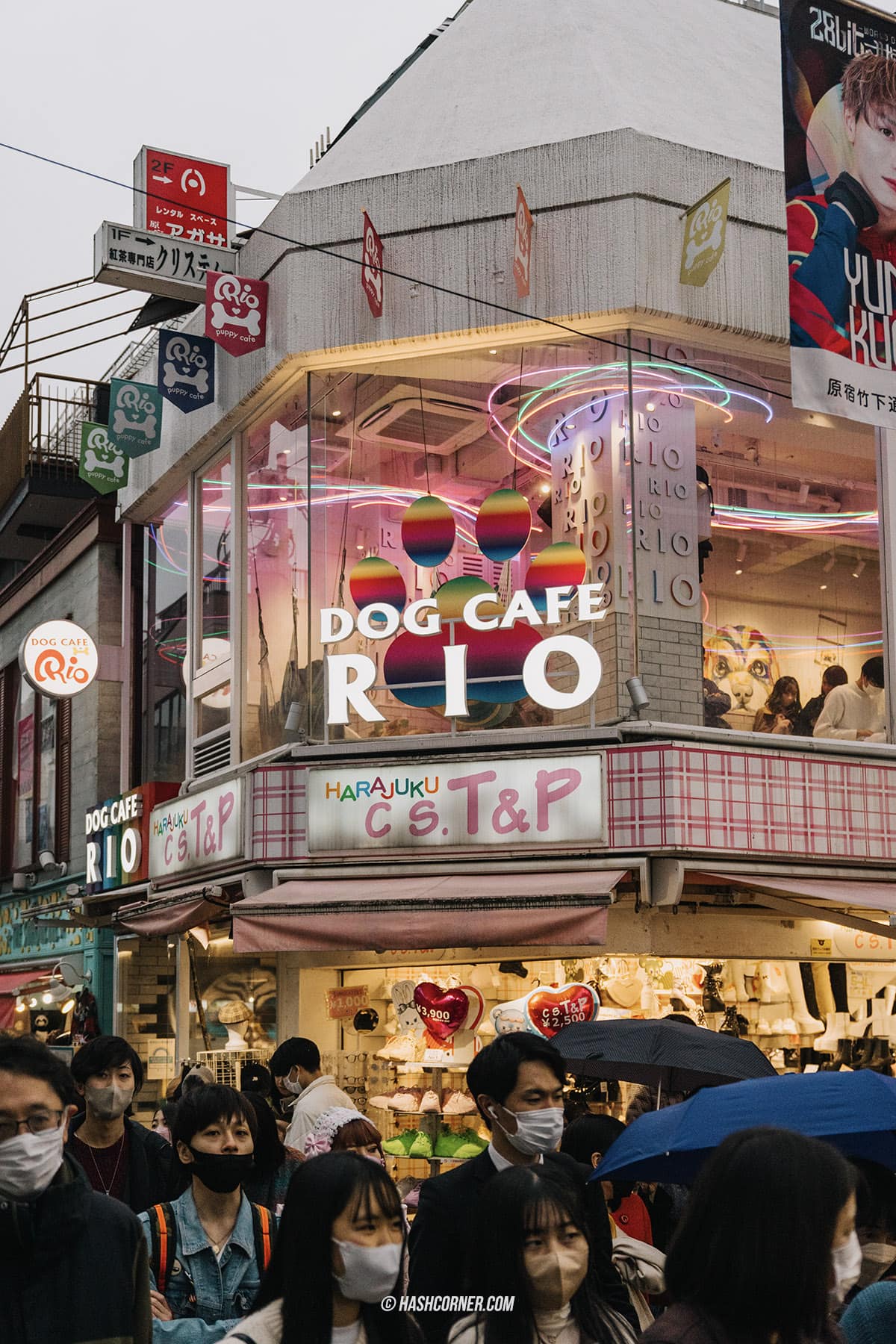 รีวิว โตเกียว (Tokyo) x ญี่ปุ่น : 28 ที่เที่ยวและสวนสนุก