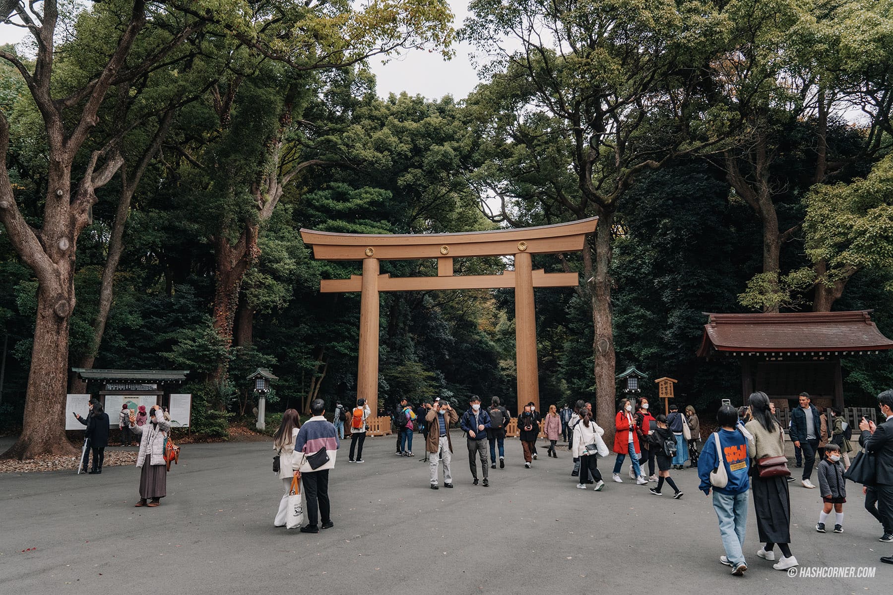 รีวิว ศาลเจ้าเมจิ (Meiji Jingu) x โตเกียว เที่ยวขอพรศาลเจ้าศักดิ์สิทธิ์