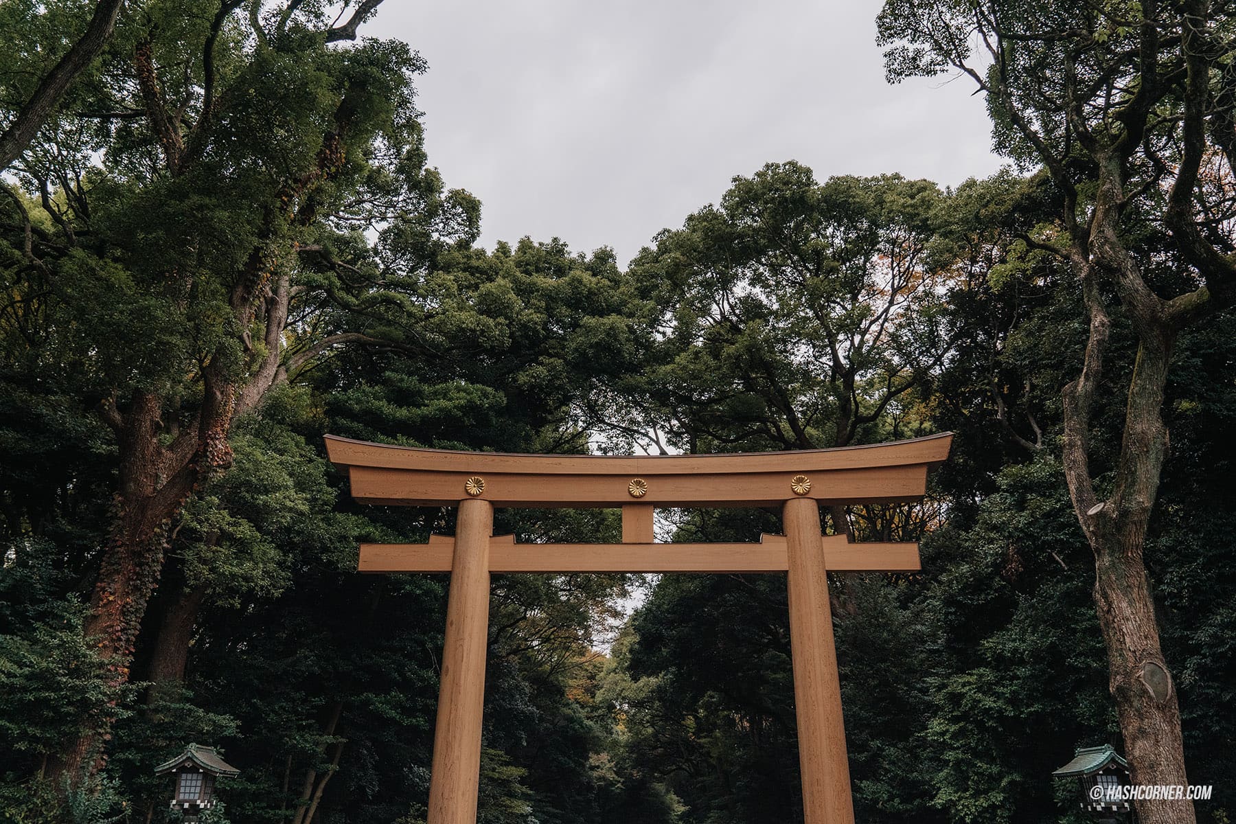 รีวิว ศาลเจ้าเมจิ (Meiji Jingu) x โตเกียว เที่ยวขอพรศาลเจ้าศักดิ์สิทธิ์