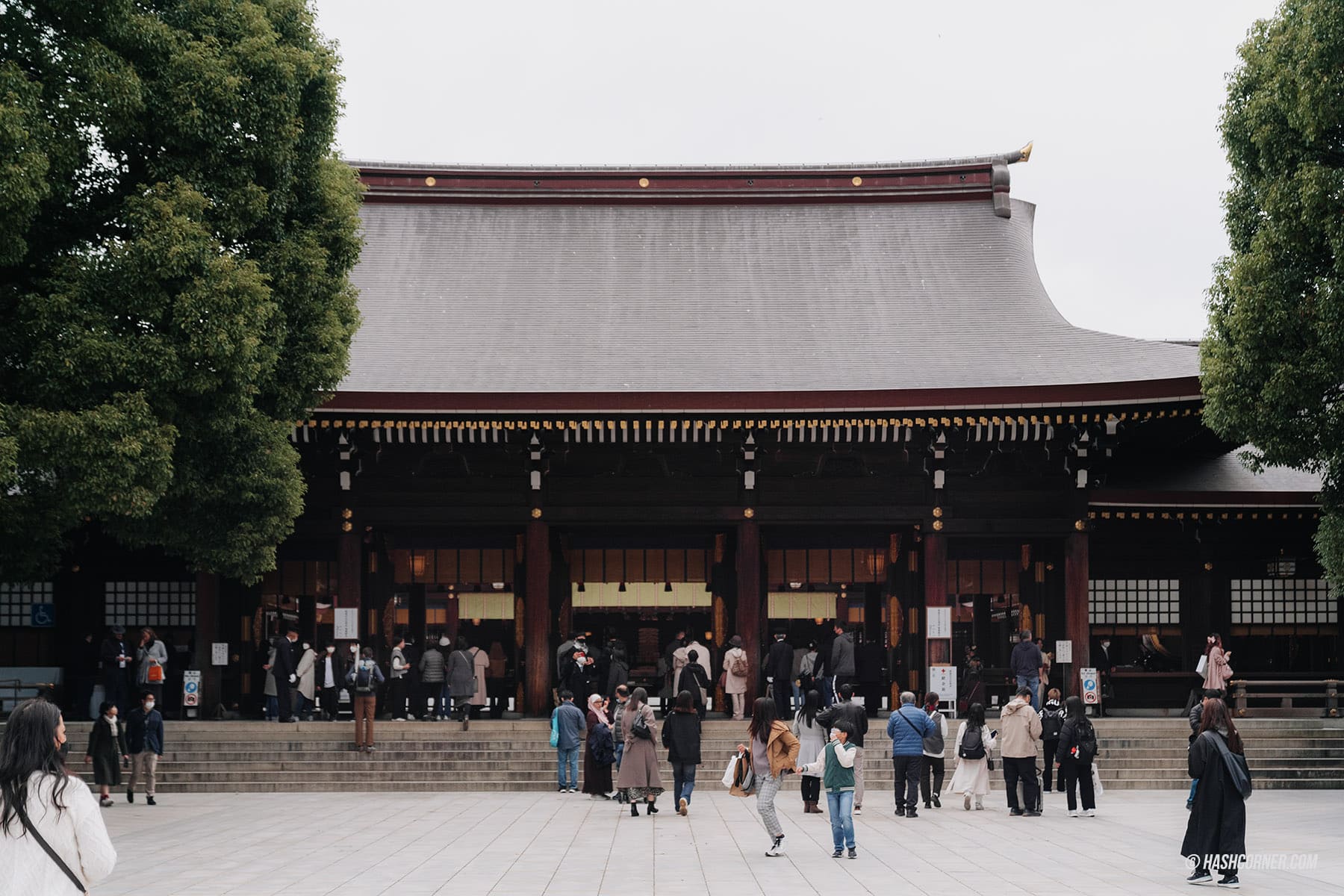 รีวิว ศาลเจ้าเมจิ (Meiji Jingu) x โตเกียว เที่ยวขอพรศาลเจ้าศักดิ์สิทธิ์