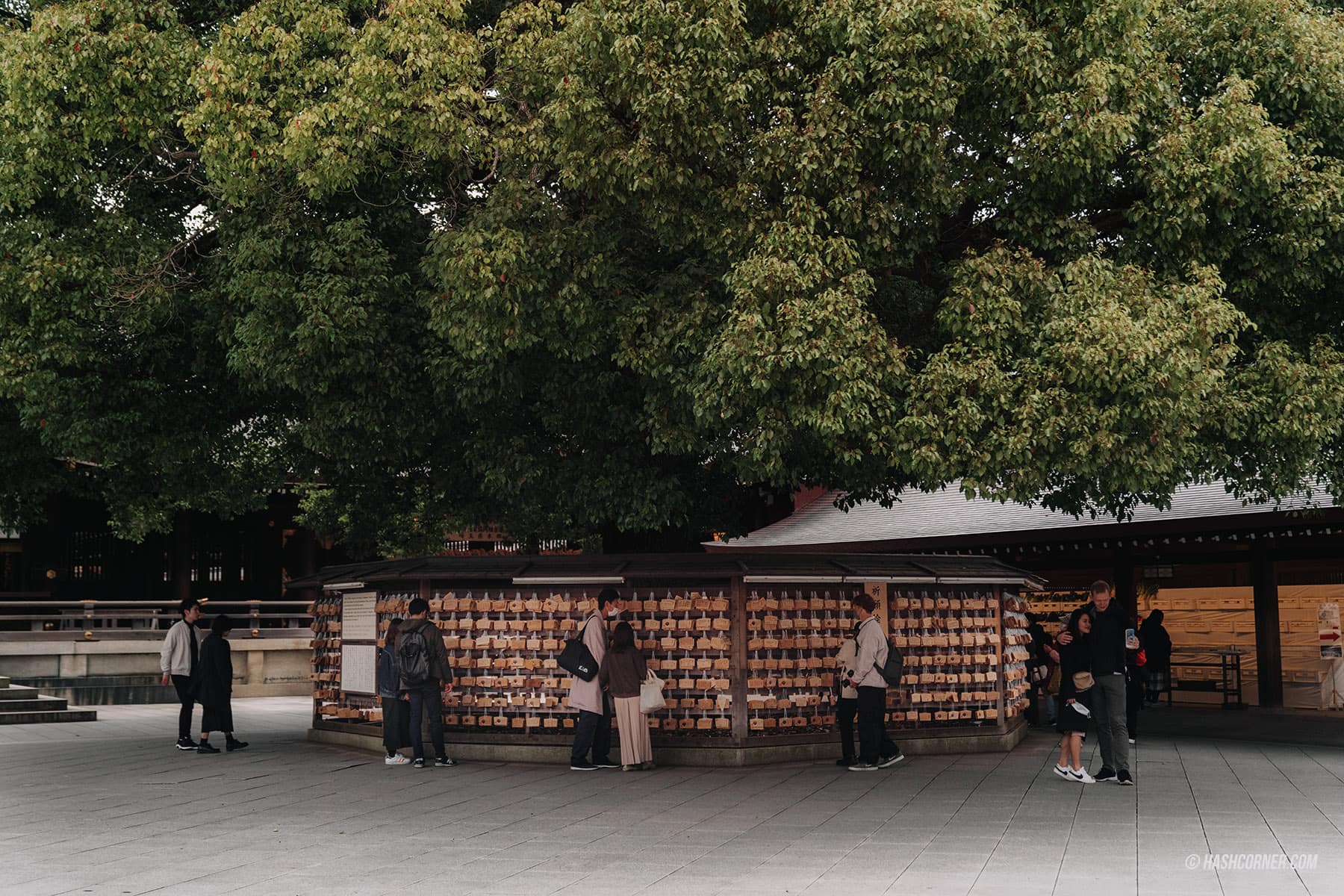 รีวิว ศาลเจ้าเมจิ (Meiji Jingu) x โตเกียว เที่ยวขอพรศาลเจ้าศักดิ์สิทธิ์