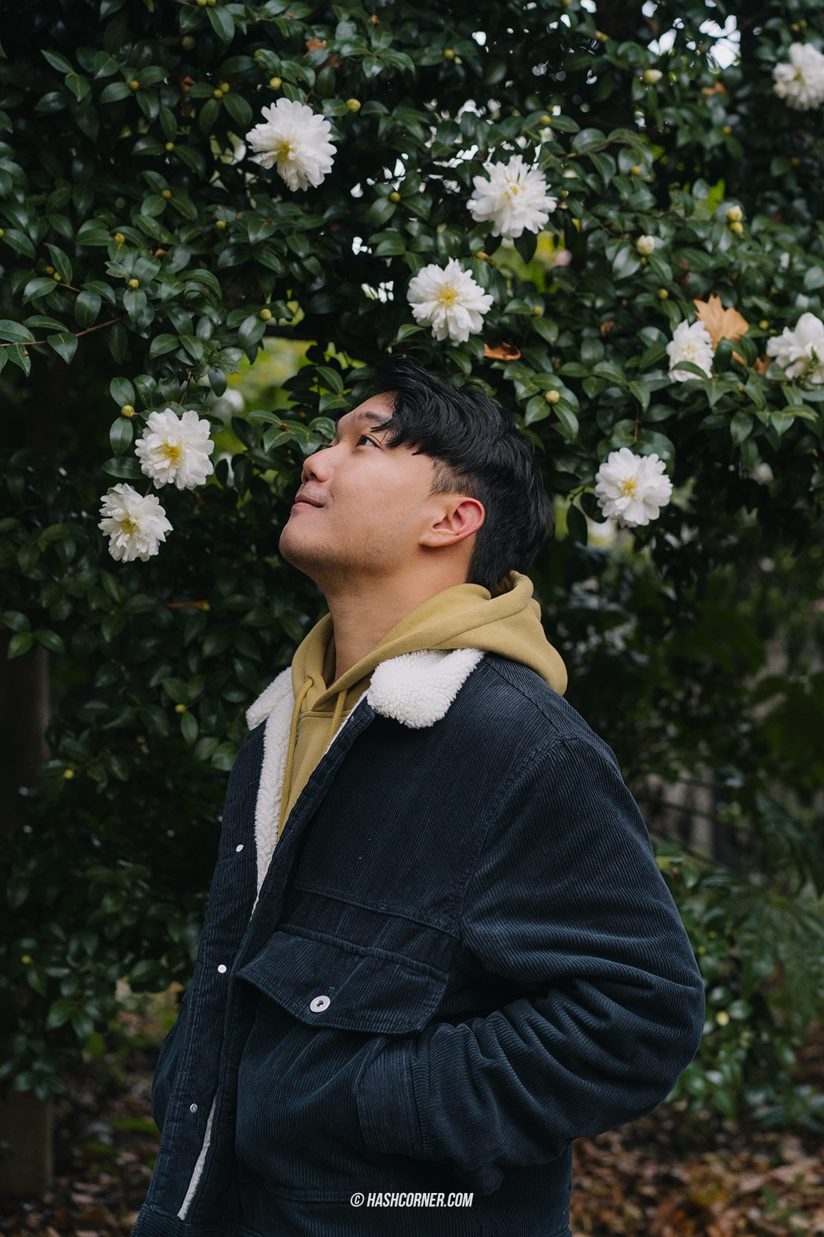 รีวิว สวนชินจูกุเกียวเอ็น (Shinjuku Gyoen) x โตเกียว เที่ยวปล่อยใจไปกับธรรมชาติ