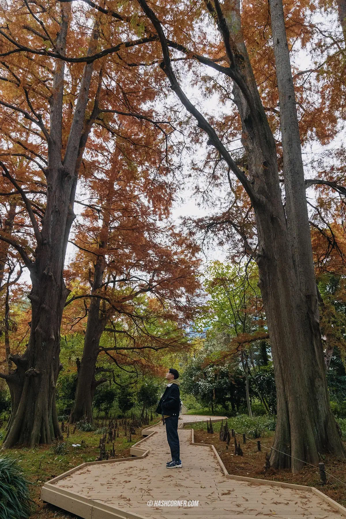 รีวิว โตเกียว (Tokyo) x ญี่ปุ่น : 28 ที่เที่ยวและสวนสนุก