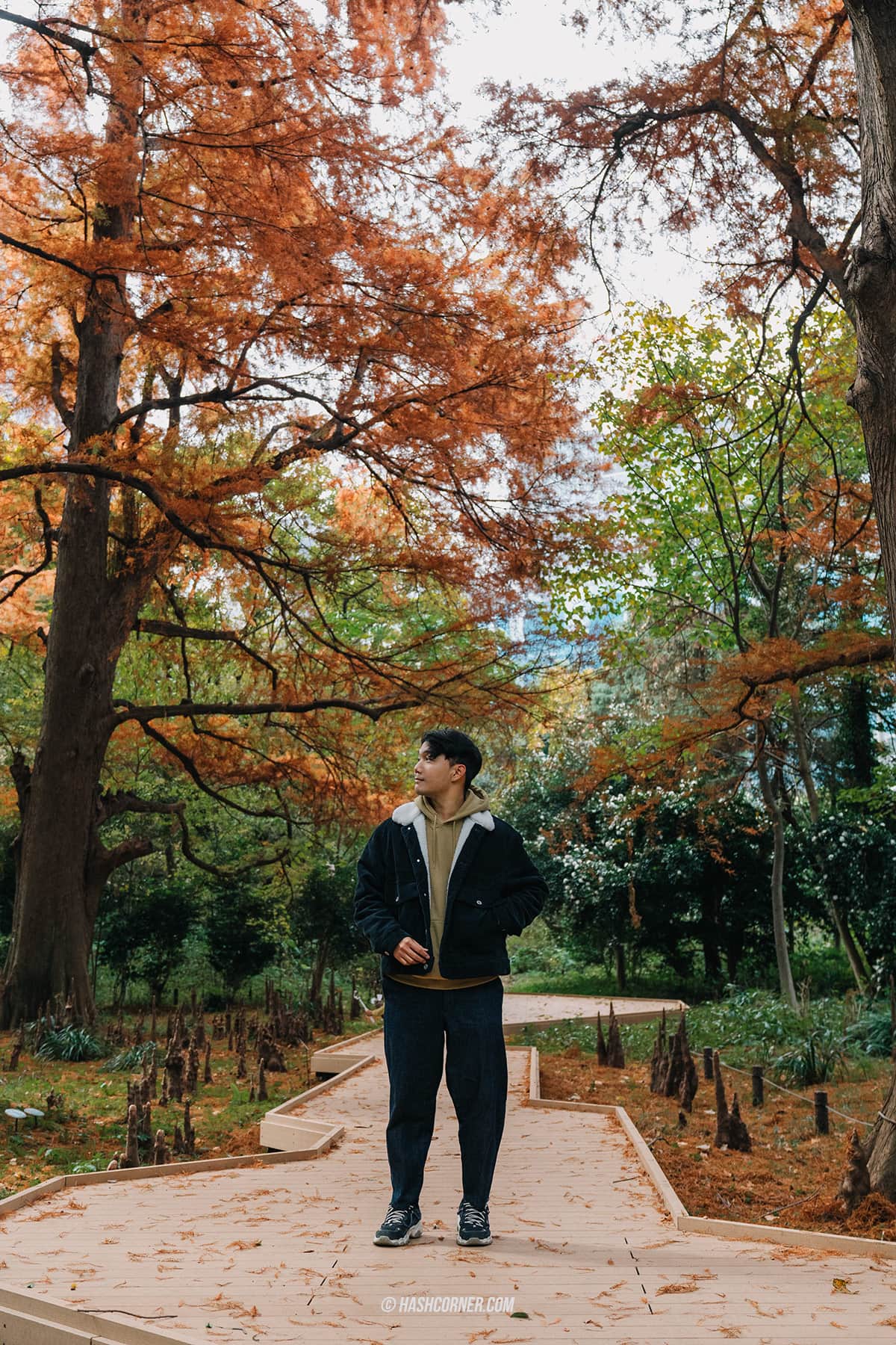 รีวิว สวนชินจูกุเกียวเอ็น (Shinjuku Gyoen) x โตเกียว เที่ยวปล่อยใจไปกับธรรมชาติ