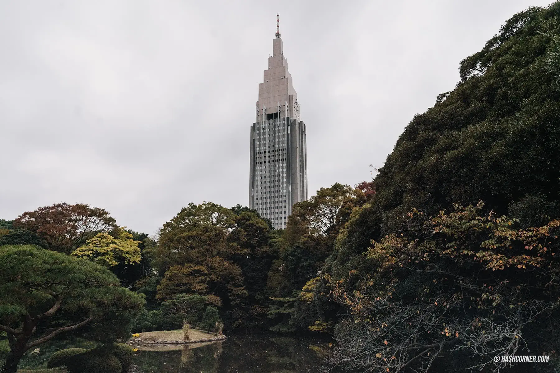 รีวิว สวนชินจูกุเกียวเอ็น (Shinjuku Gyoen) x โตเกียว เที่ยวปล่อยใจไปกับธรรมชาติ