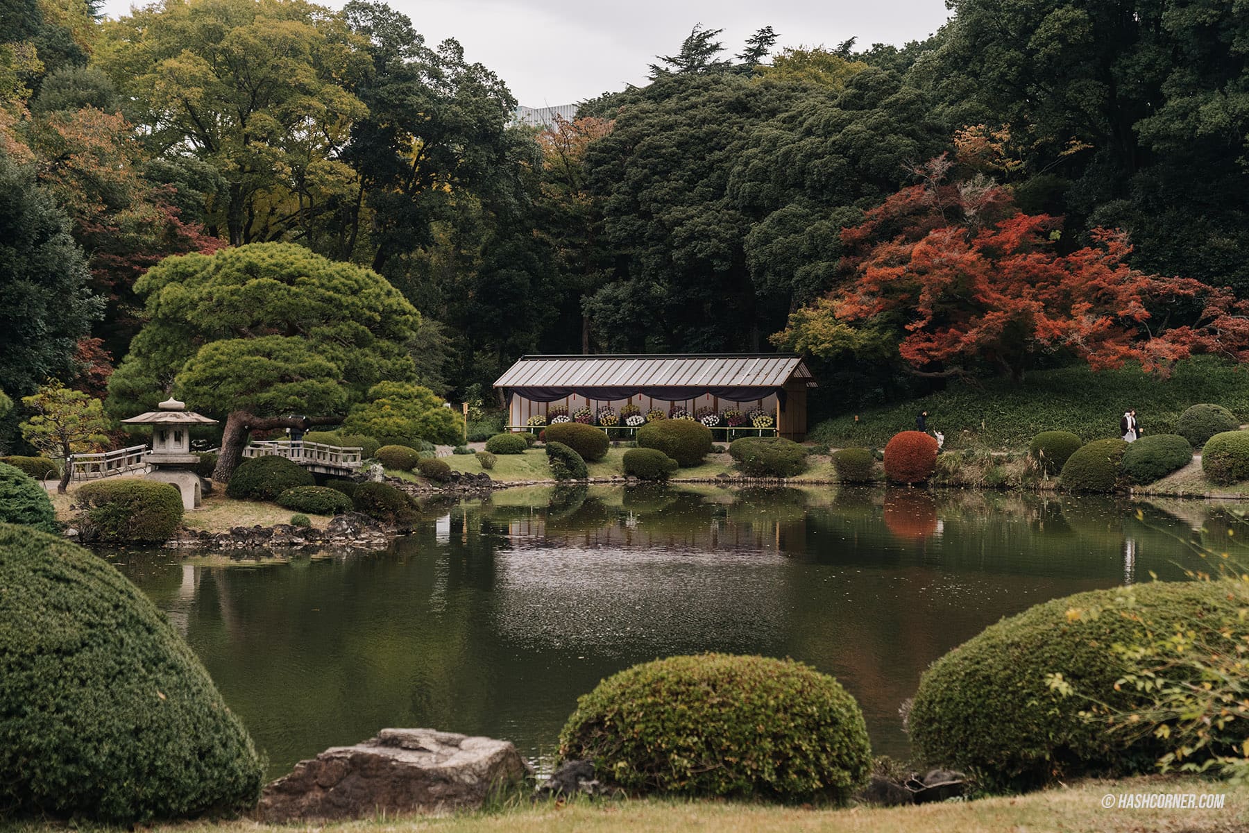 รีวิว สวนชินจูกุเกียวเอ็น (Shinjuku Gyoen) x โตเกียว เที่ยวปล่อยใจไปกับธรรมชาติ
