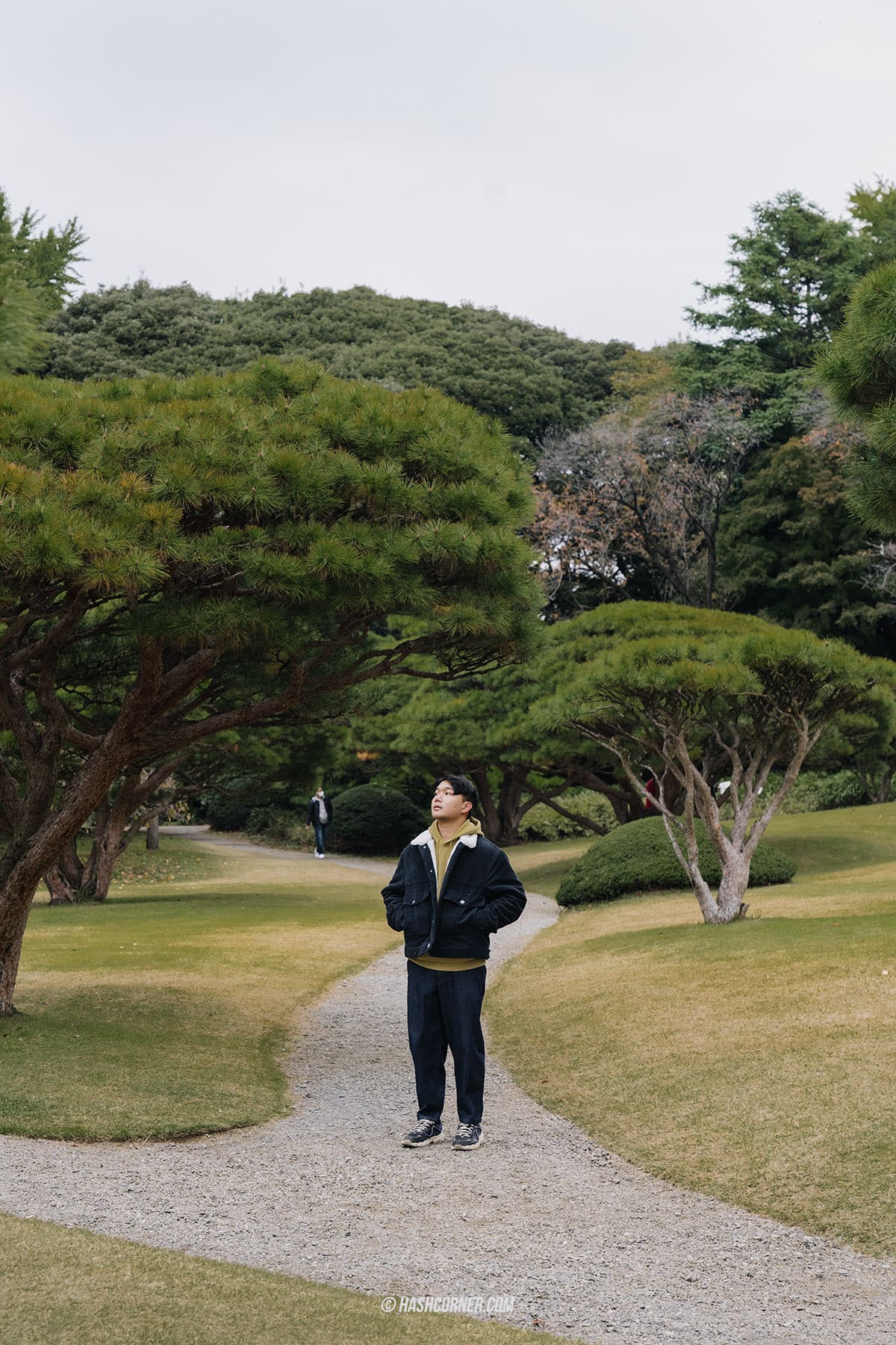 รีวิว สวนชินจูกุเกียวเอ็น (Shinjuku Gyoen) x โตเกียว เที่ยวปล่อยใจไปกับธรรมชาติ
