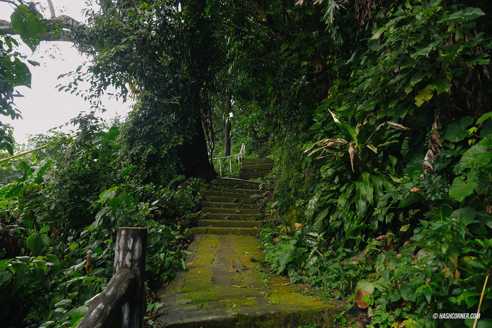 รีวิว ภูเขาเจี้ยนถาน (Jiantan Mountain) x ไทเป เดินเทรลชมวิวเมือง