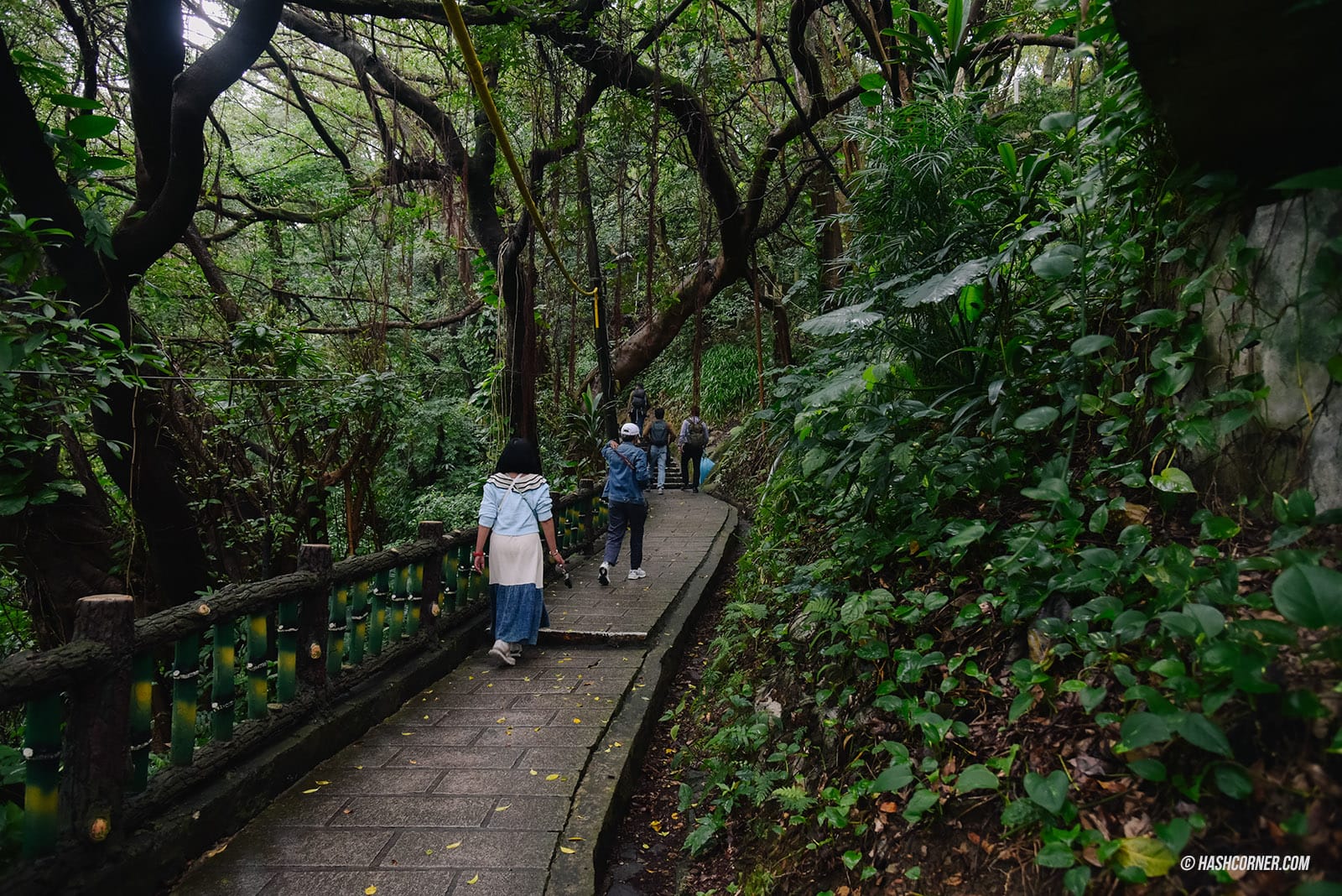 รีวิว ภูเขาเจี้ยนถาน (Jiantan Mountain) x ไทเป เดินเทรลชมวิวเมือง