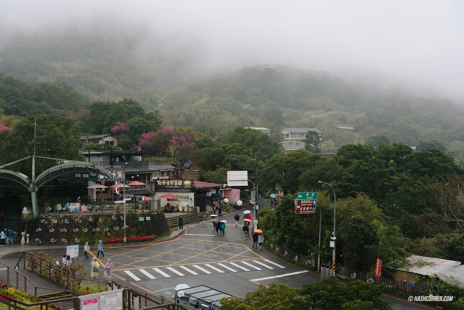 รีวิว เมาคง (Maokong) x ไทเป นั่งกระเช้าลอยฟ้าชมไร่ชาบนยอดเขา