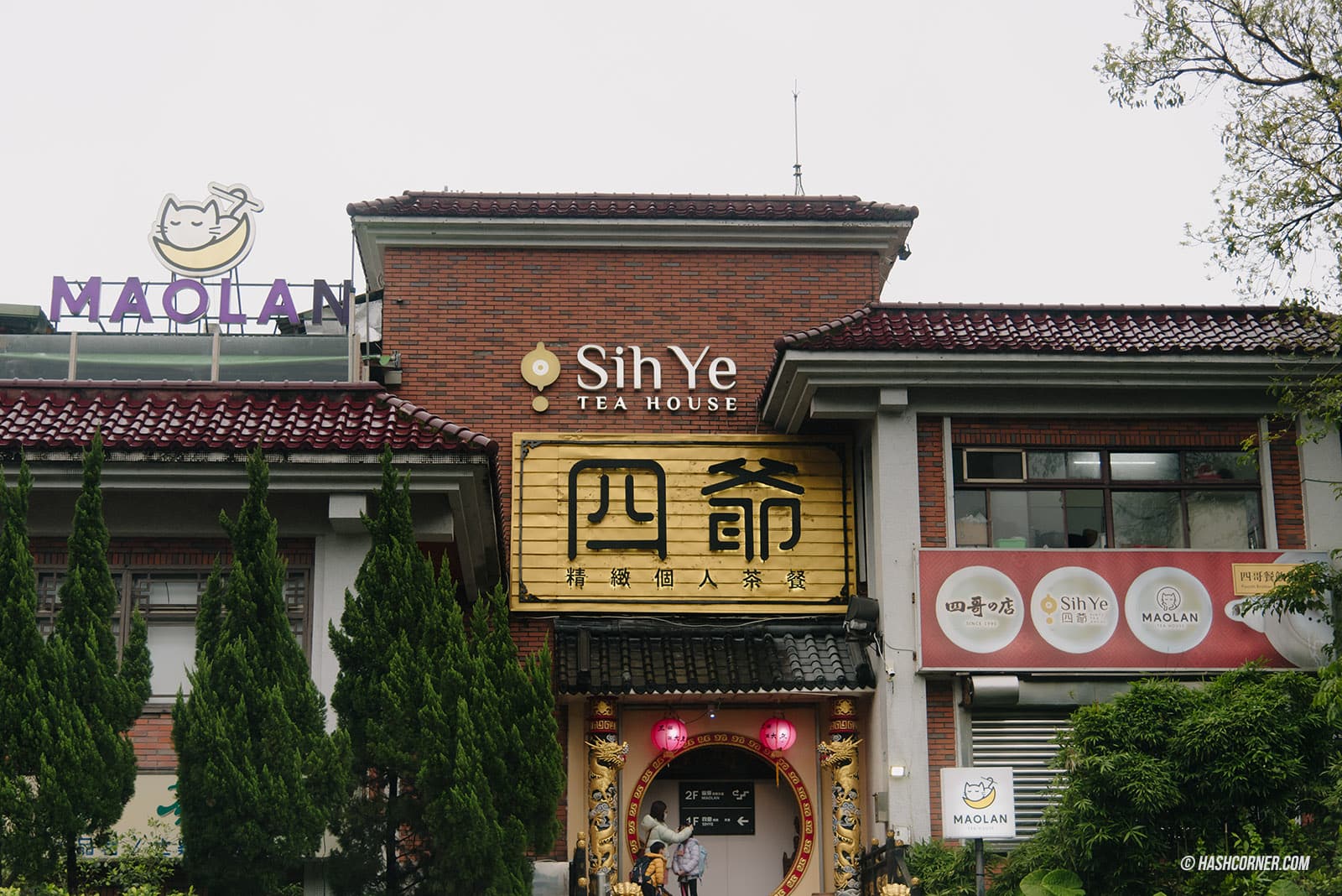 รีวิว เมาคง (Maokong) x ไทเป นั่งกระเช้าลอยฟ้าชมไร่ชาบนยอดเขา