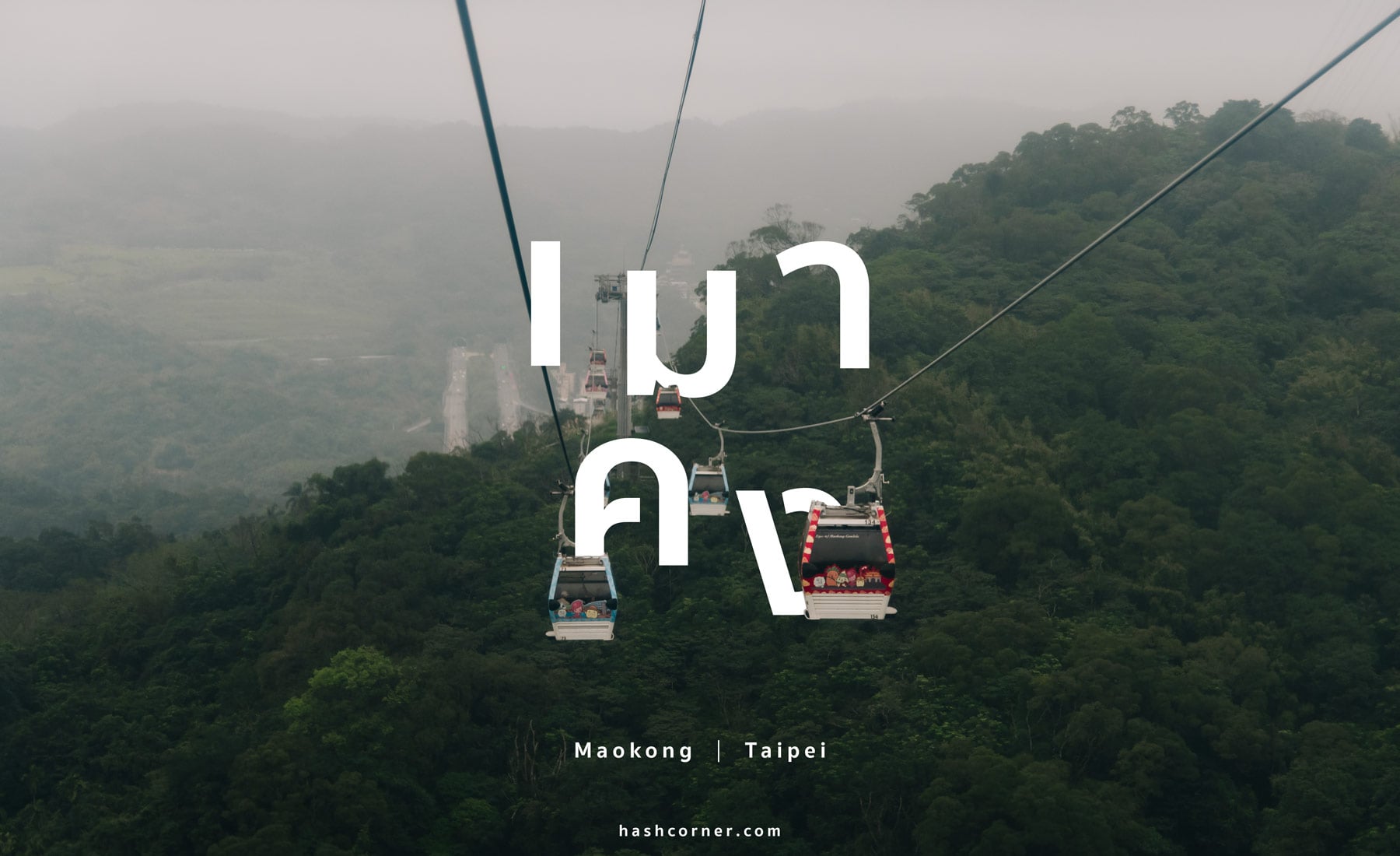 รีวิว เมาคง (Maokong) x ไทเป นั่งกระเช้าลอยฟ้าชมไร่ชาบนยอดเขา