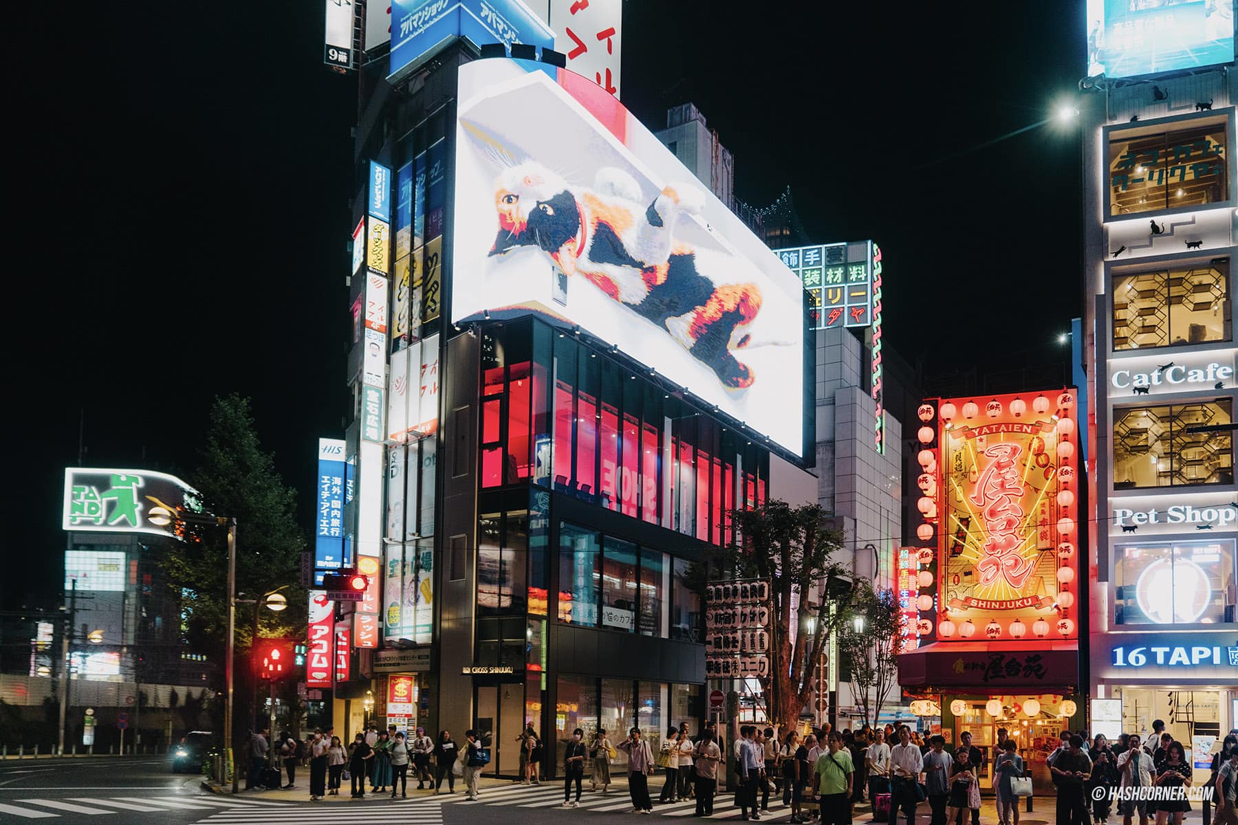 รีวิว คาบูกิโจ (Kabukicho) x โตเกียว เที่ยวย่านราตรีโคมแดงสุดคึกคัก