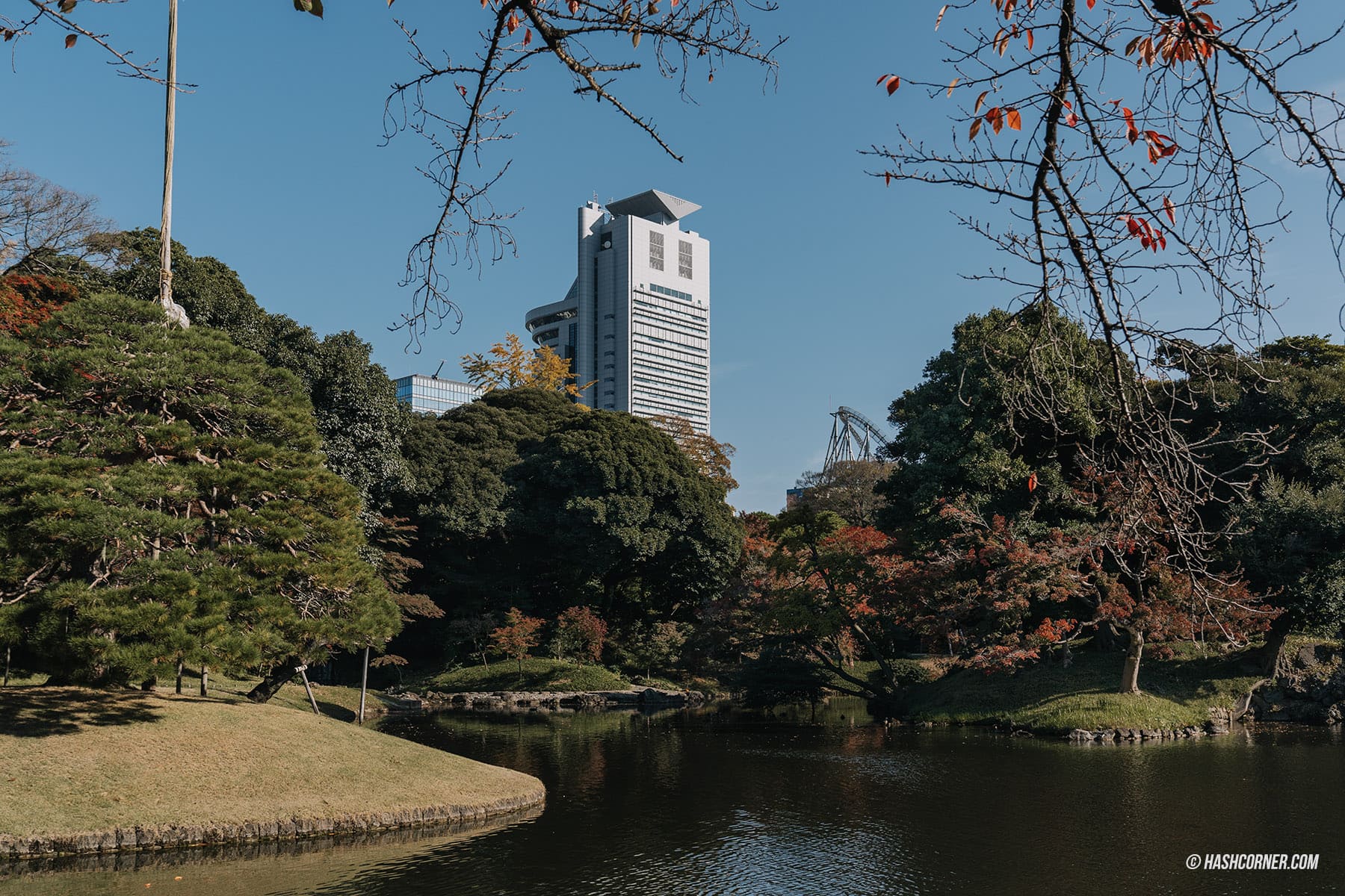 รีวิว โตเกียว (Tokyo) x ญี่ปุ่น : 28 ที่เที่ยวและสวนสนุก