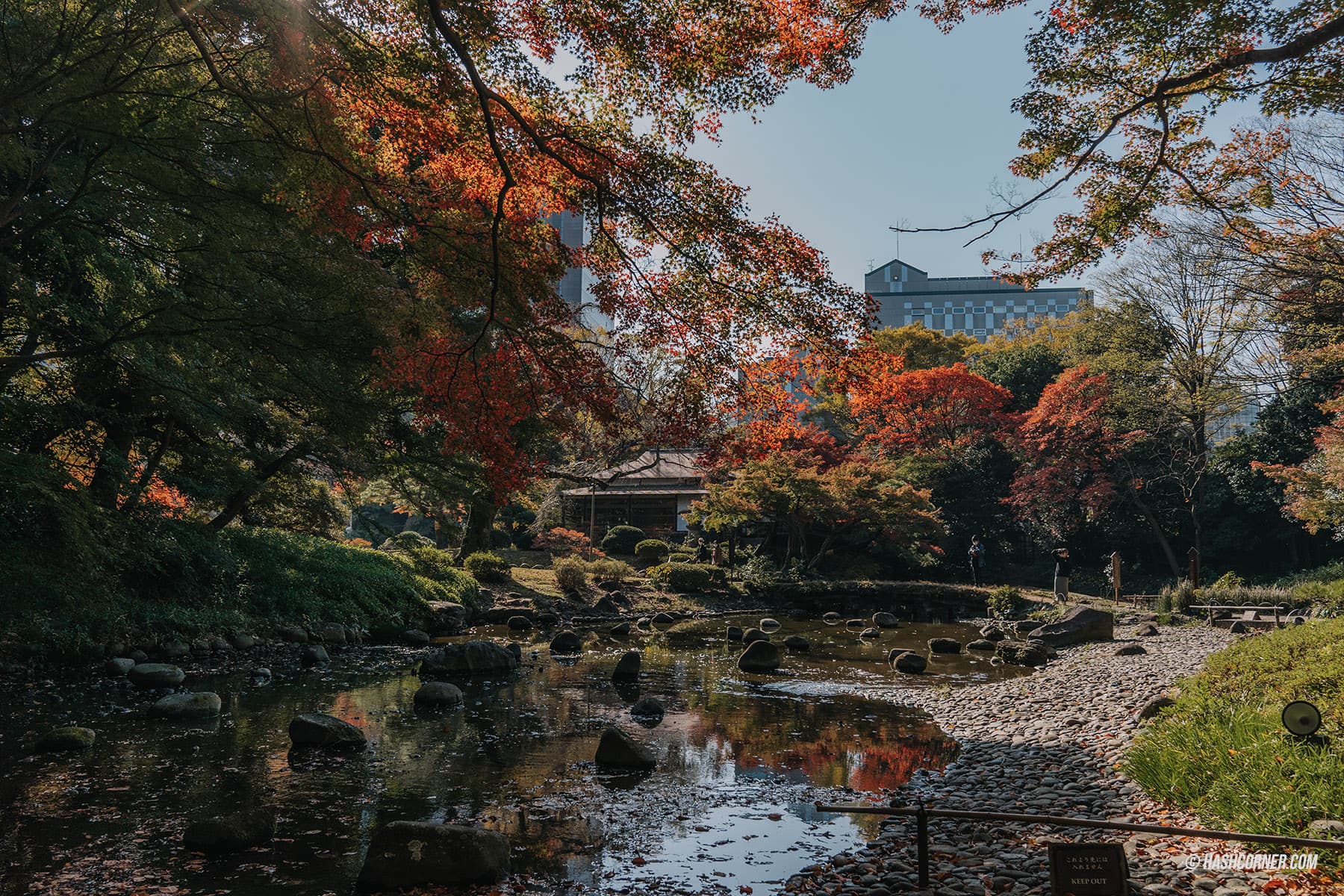 รีวิว โตเกียว (Tokyo) x ญี่ปุ่น : 28 ที่เที่ยวและสวนสนุก