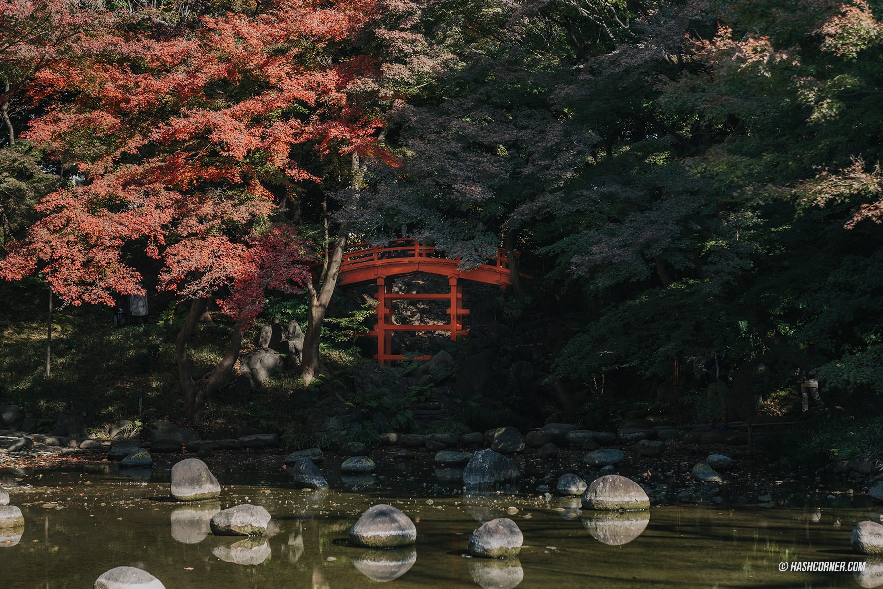 รีวิว โตเกียว (Tokyo) x ญี่ปุ่น : 28 ที่เที่ยวและสวนสนุก