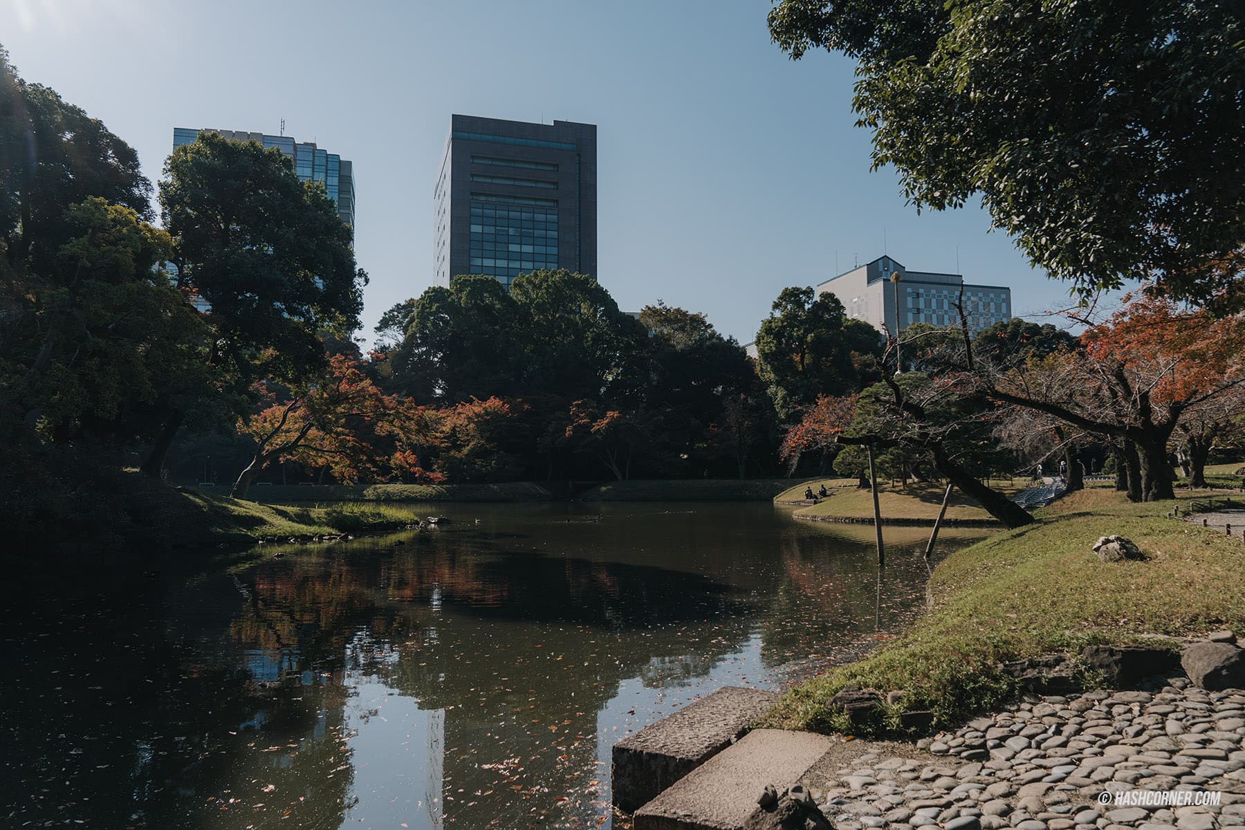 รีวิว โตเกียว (Tokyo) x ญี่ปุ่น : 28 ที่เที่ยวและสวนสนุก