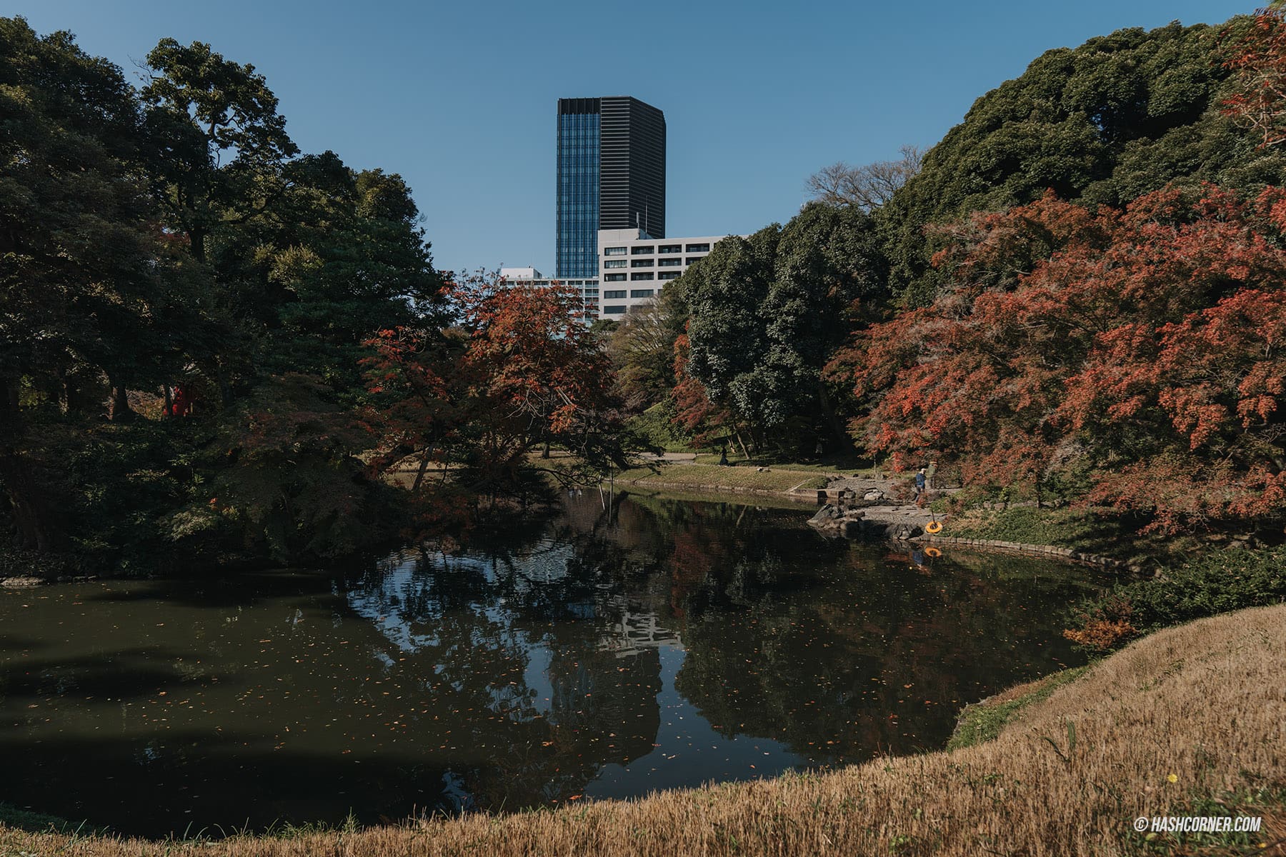 รีวิว โตเกียว (Tokyo) x ญี่ปุ่น : 28 ที่เที่ยวและสวนสนุก