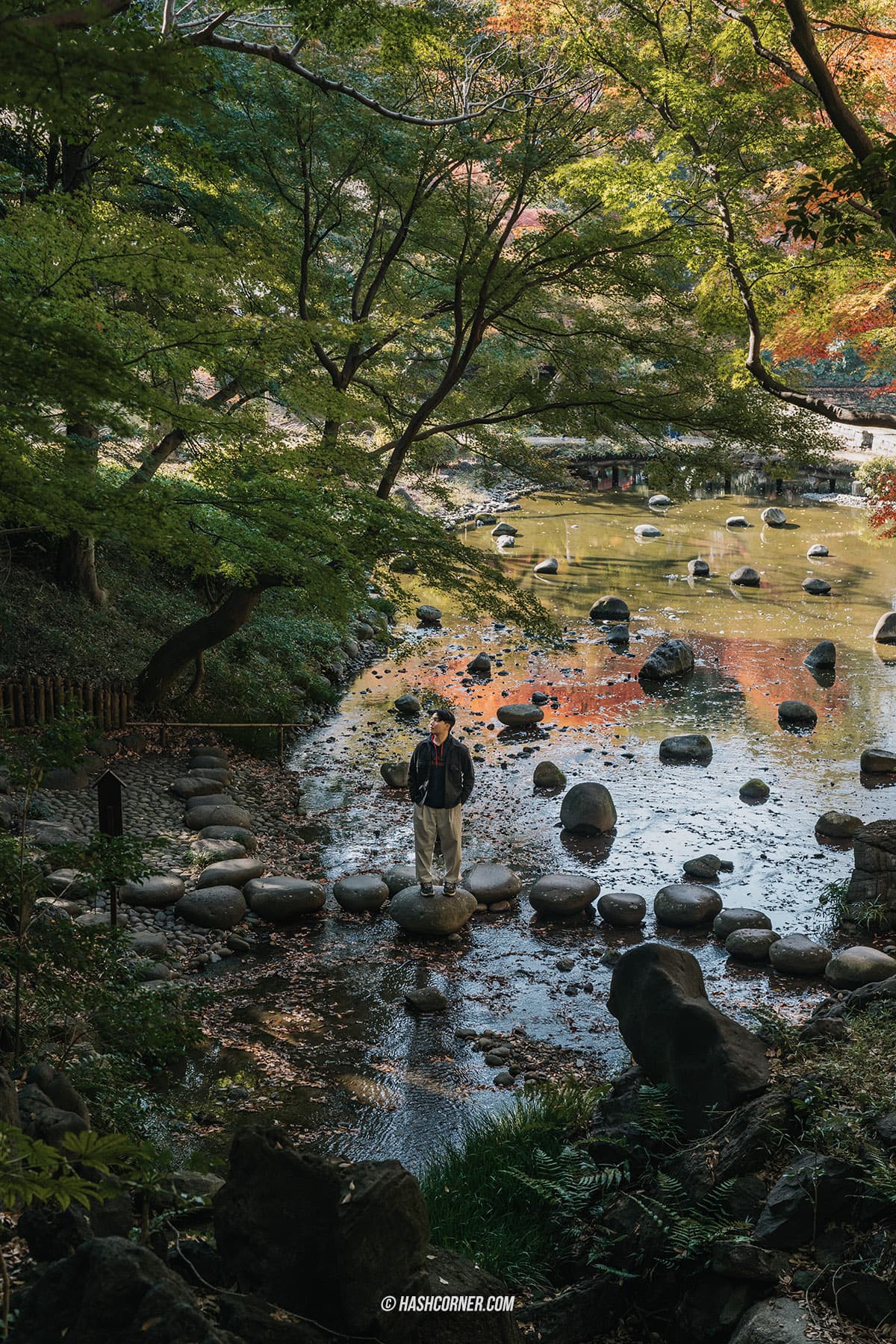 รีวิว โตเกียว (Tokyo) x ญี่ปุ่น : 28 ที่เที่ยวและสวนสนุก