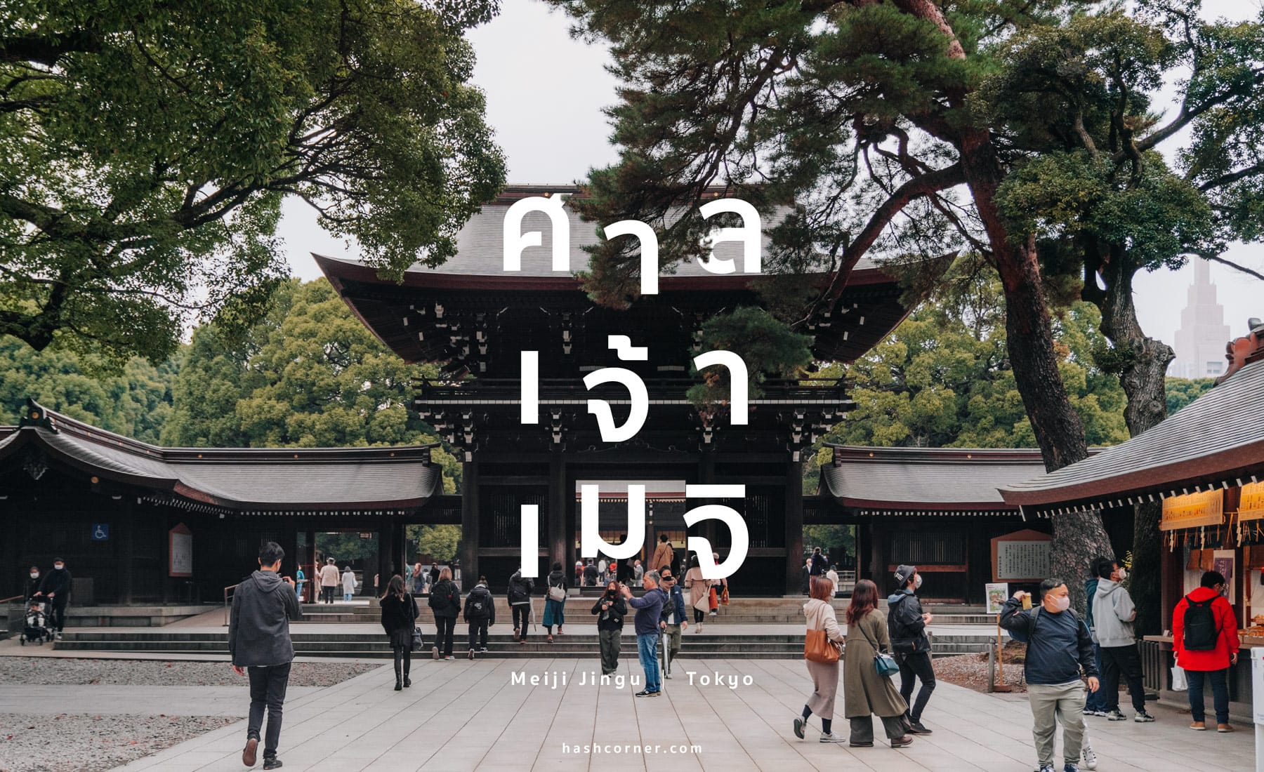 รีวิว ศาลเจ้าเมจิ (Meiji Jingu) x โตเกียว เที่ยวขอพรศาลเจ้าศักดิ์สิทธิ์