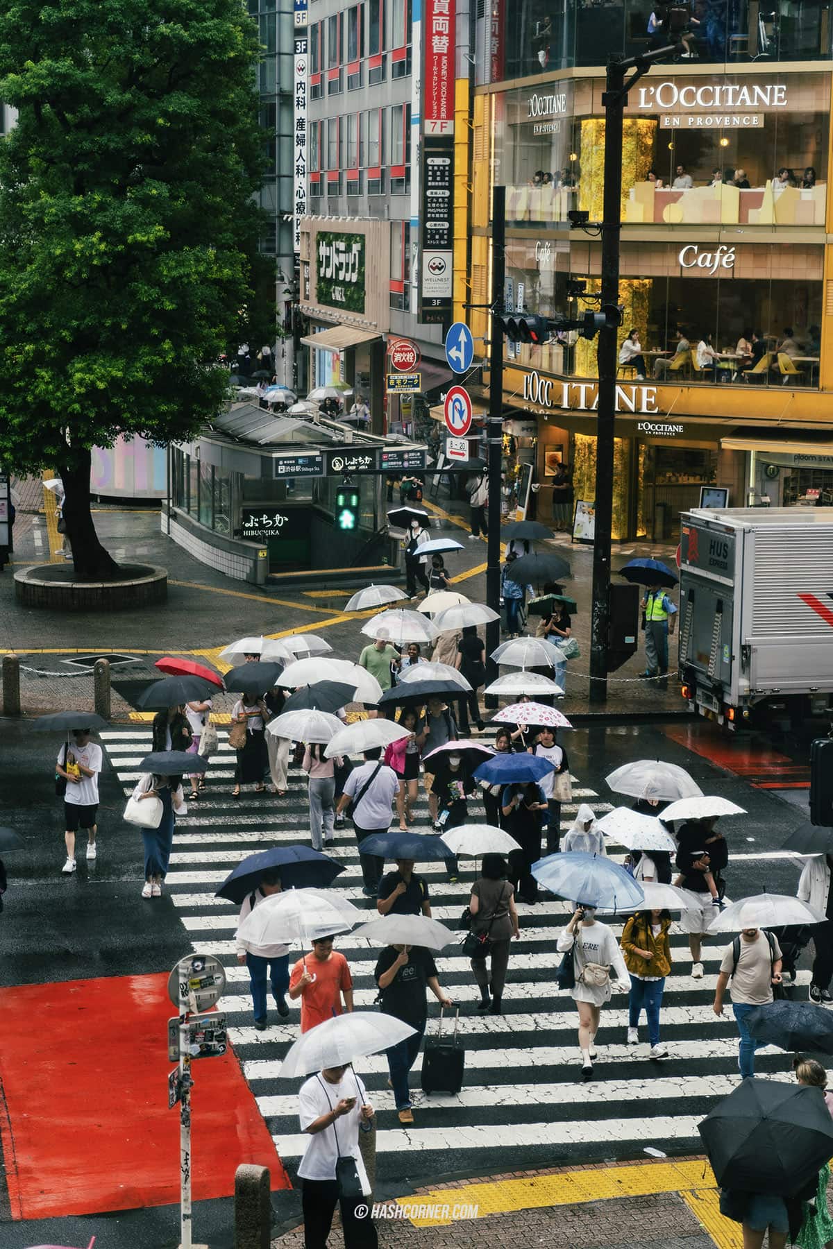 รีวิว ชิบูย่า (Shibuya) x โตเกียว ย่านครบเครื่องเรื่องกิน เที่ยว ช้อป