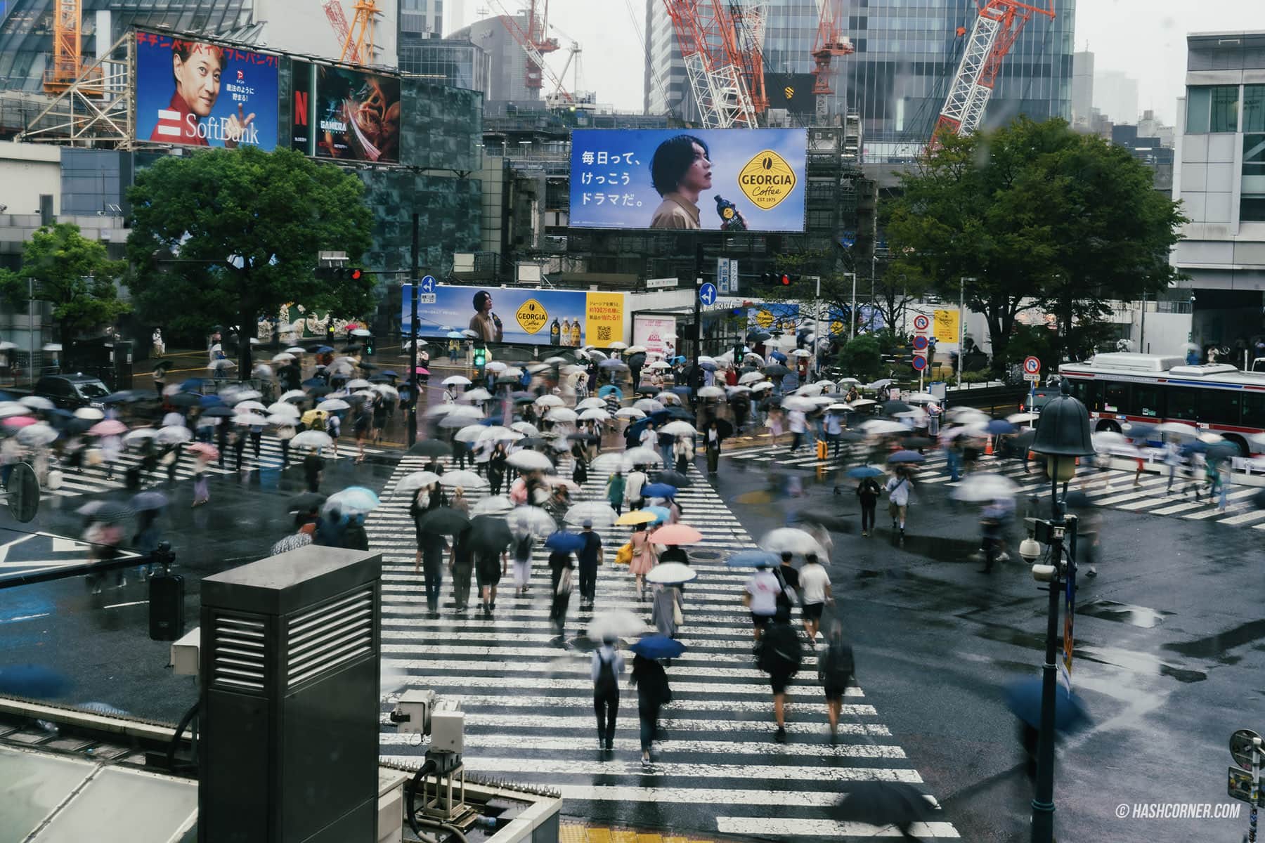 รีวิว ชิบูย่า (Shibuya) x โตเกียว ย่านครบเครื่องเรื่องกิน เที่ยว ช้อป