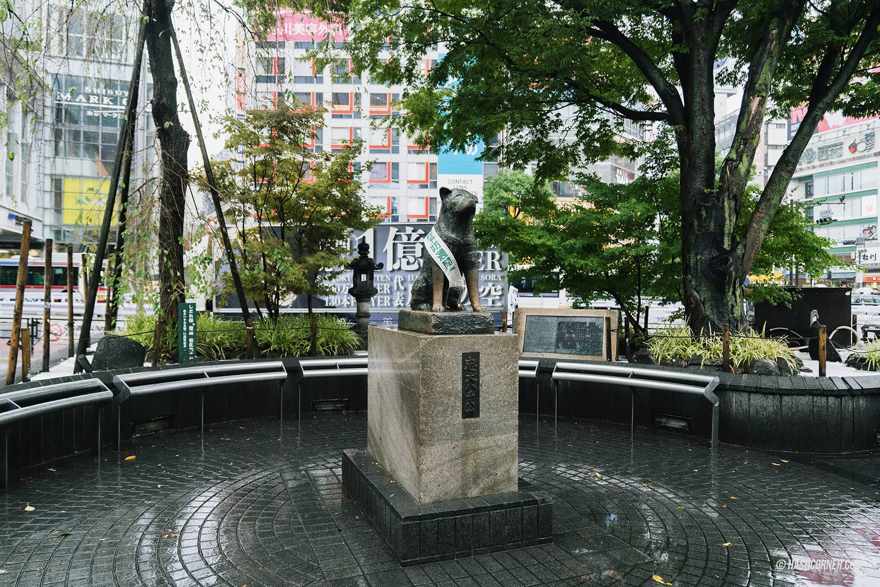 รีวิว ชิบูย่า (Shibuya) x โตเกียว ย่านครบเครื่องเรื่องกิน เที่ยว ช้อป
