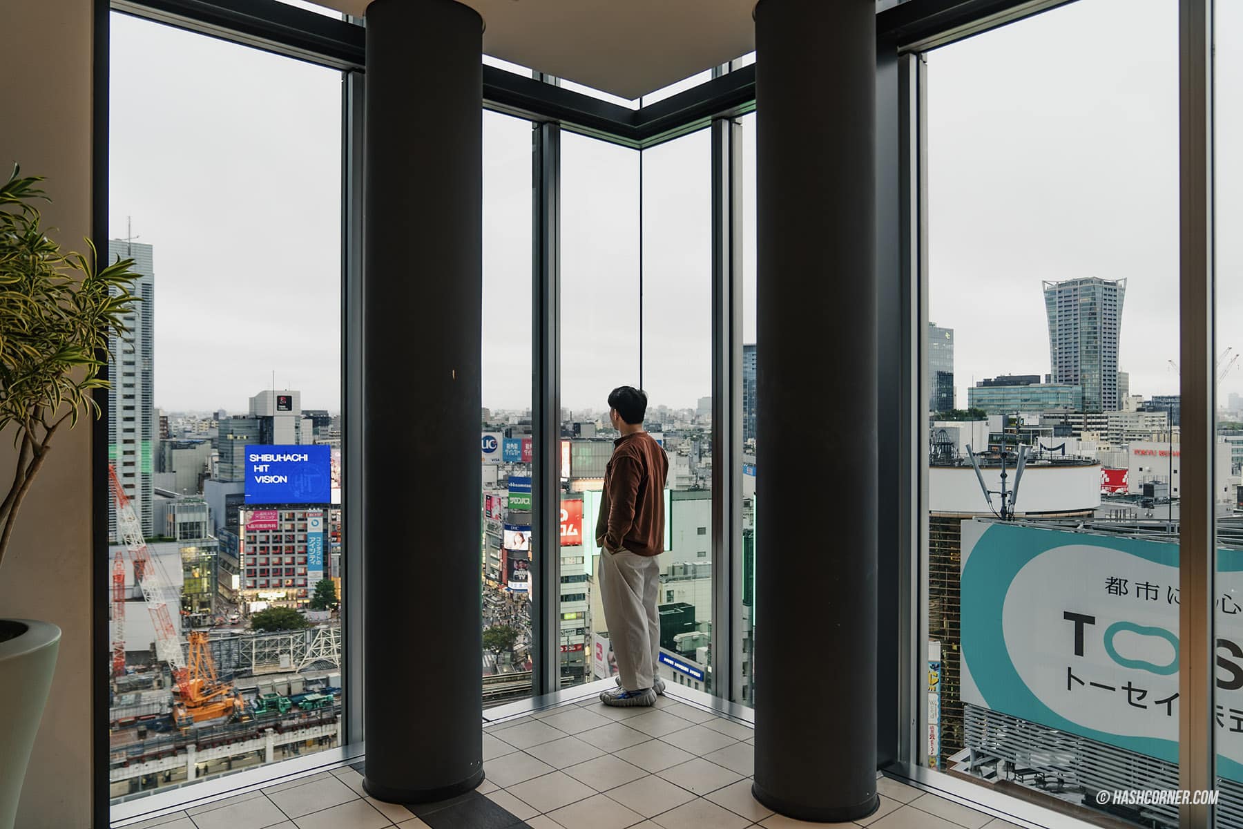 รีวิว ชิบูย่า (Shibuya) x โตเกียว ย่านครบเครื่องเรื่องกิน เที่ยว ช้อป