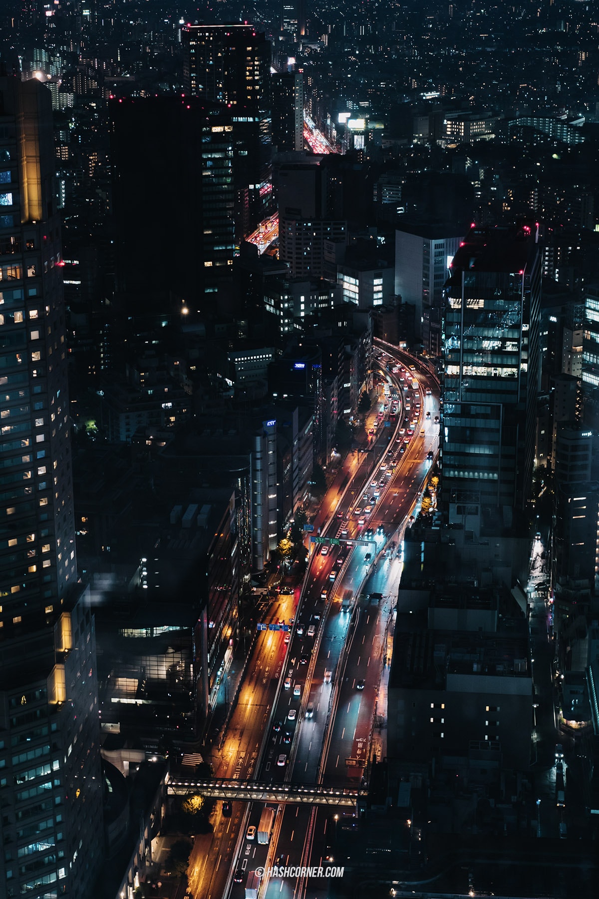 รีวิว ชิบูย่า (Shibuya) x โตเกียว ย่านครบเครื่องเรื่องกิน เที่ยว ช้อป