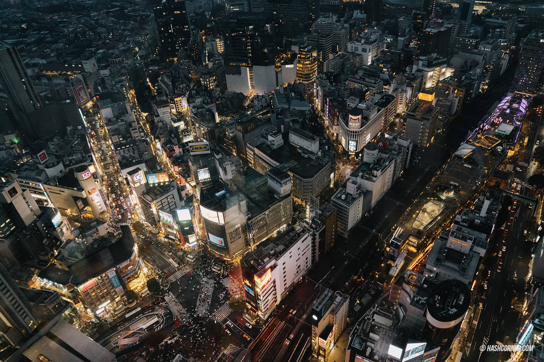 รีวิว ชิบูย่า (Shibuya) x โตเกียว ย่านครบเครื่องเรื่องกิน เที่ยว ช้อป