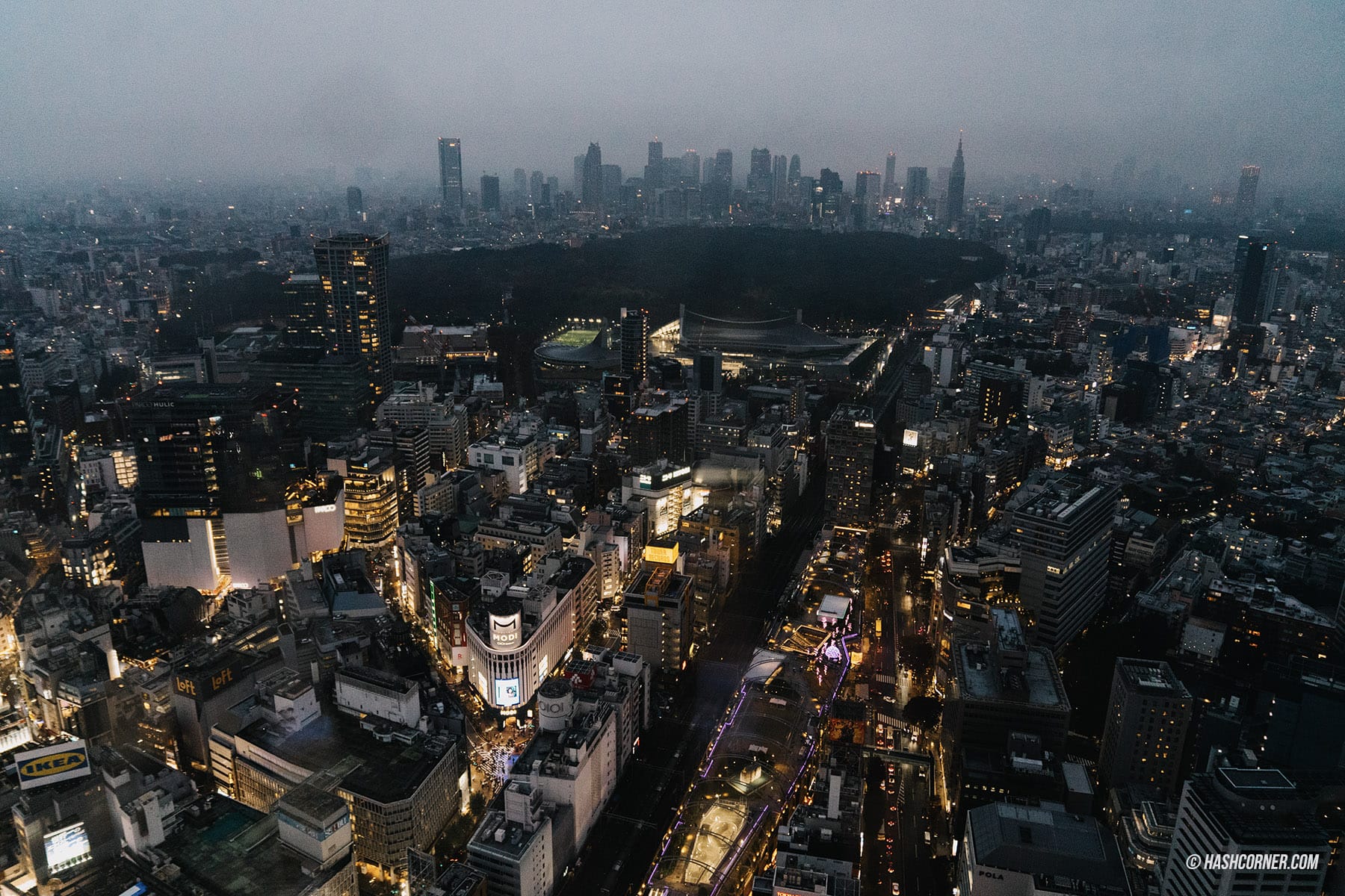 รีวิว โตเกียว (Tokyo) x ญี่ปุ่น : 28 ที่เที่ยวและสวนสนุก
