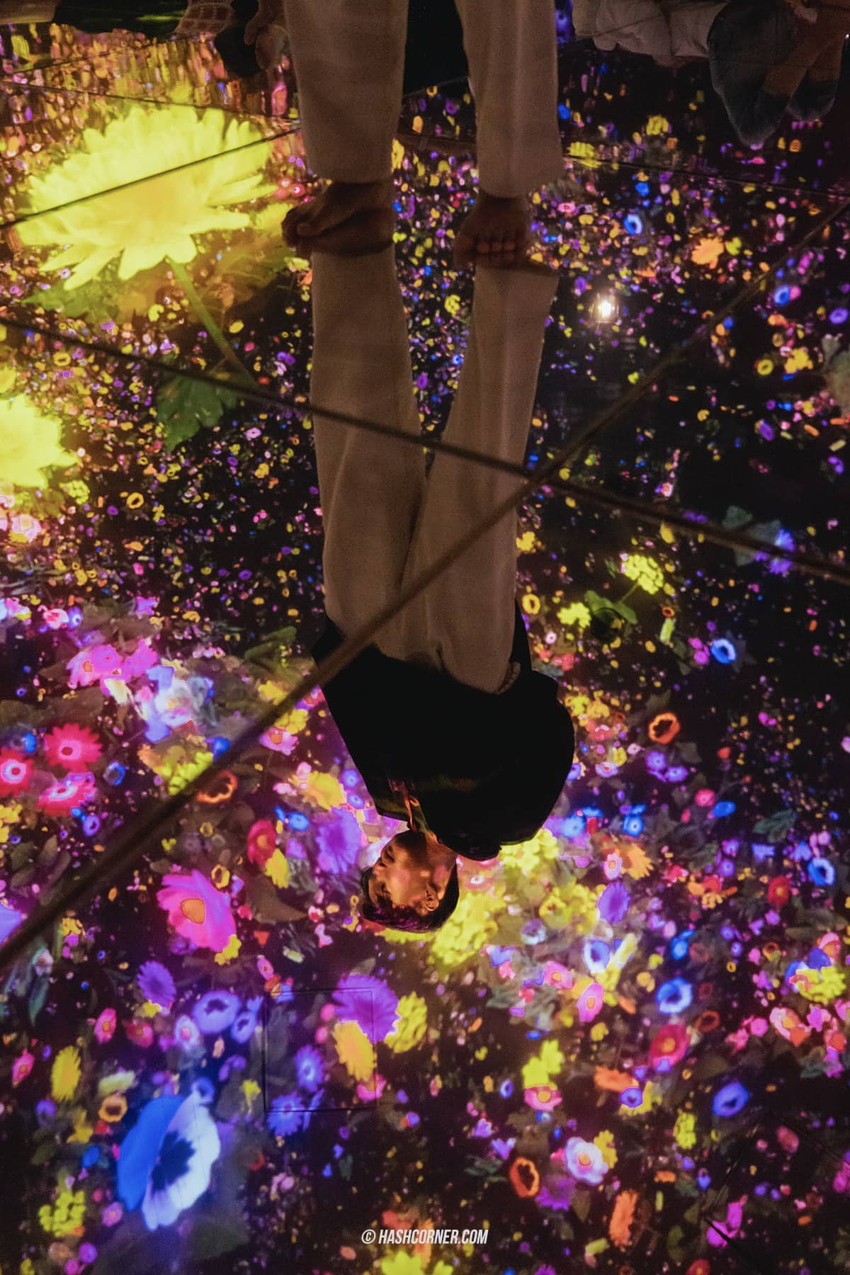 รีวิว teamLab Planets TOKYO x โตเกียว ญี่ปุ่น