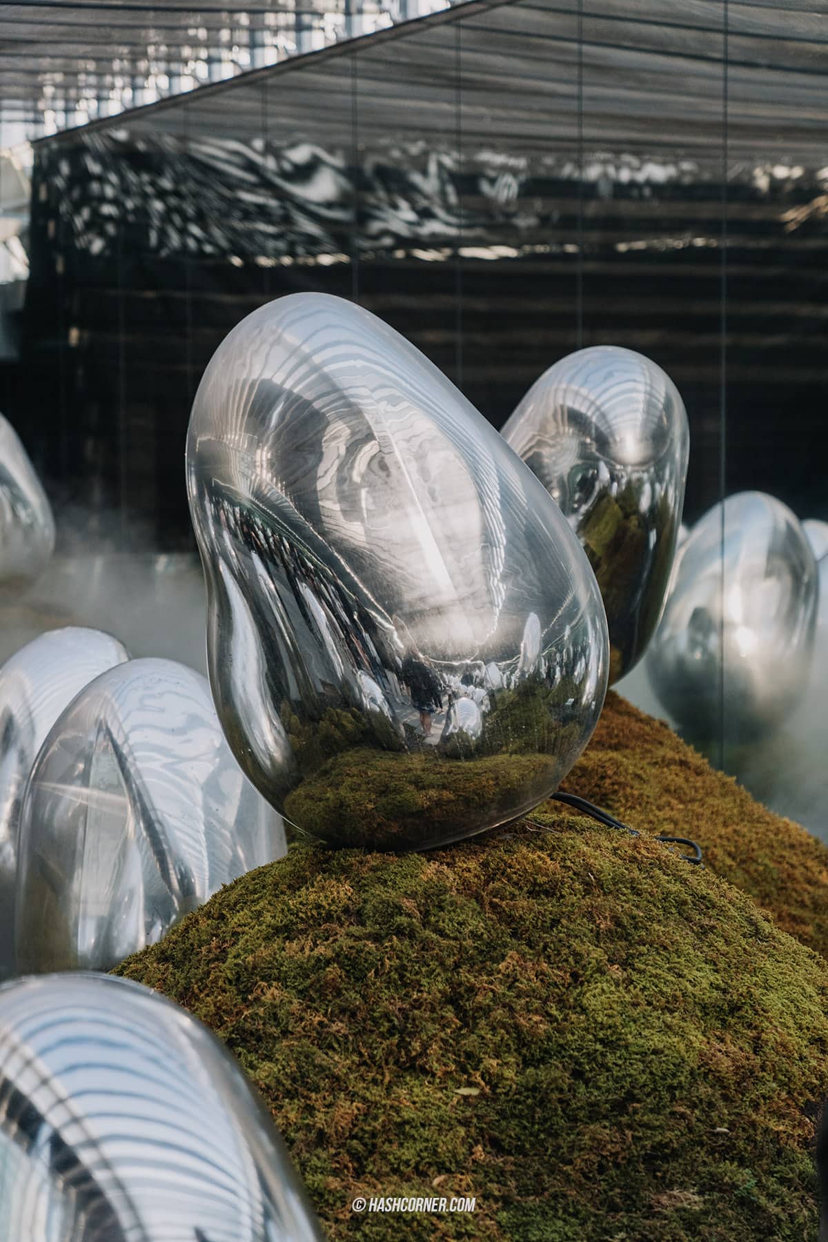 รีวิว teamLab Planets TOKYO x โตเกียว ญี่ปุ่น