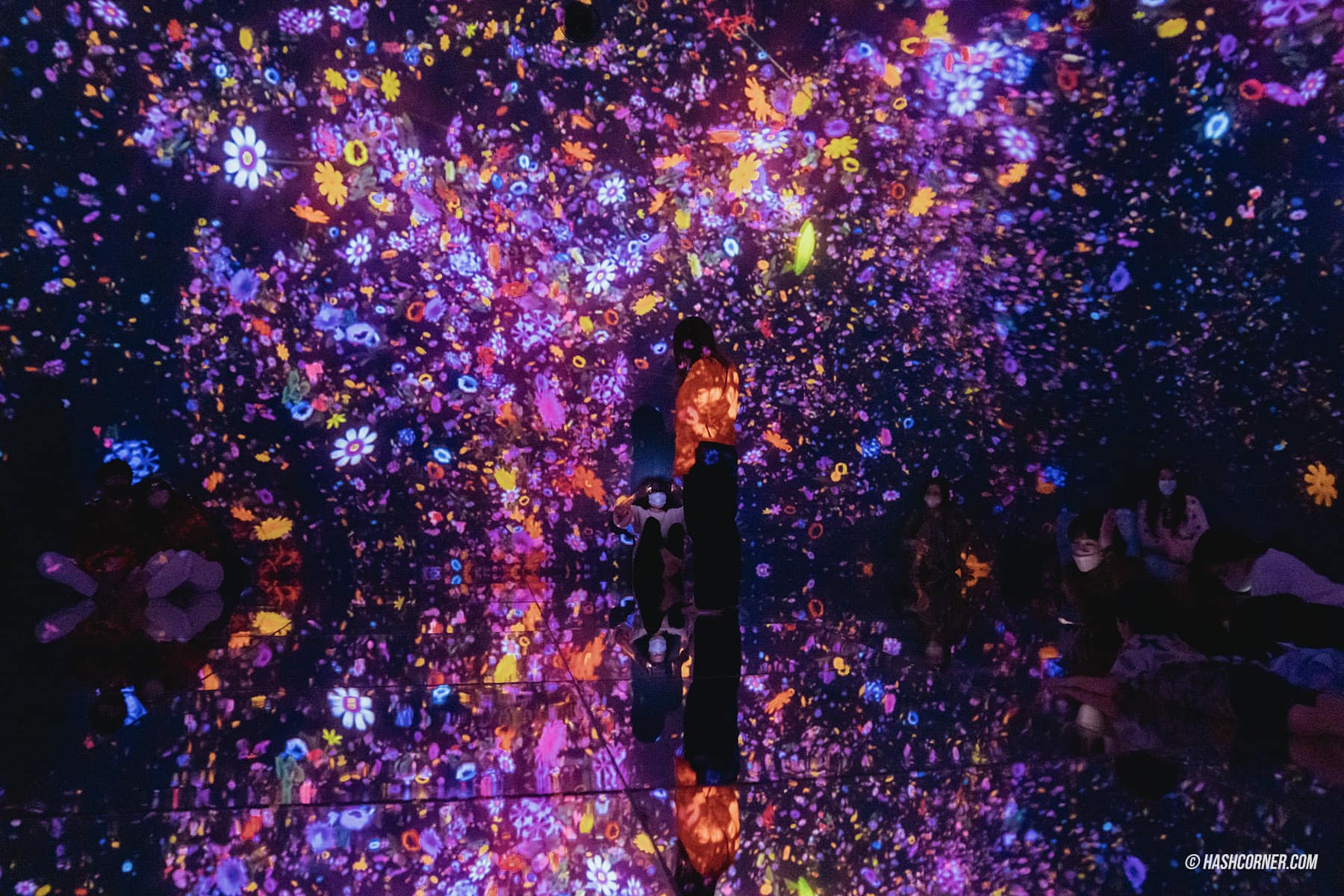 รีวิว teamLab Planets TOKYO x โตเกียว ญี่ปุ่น