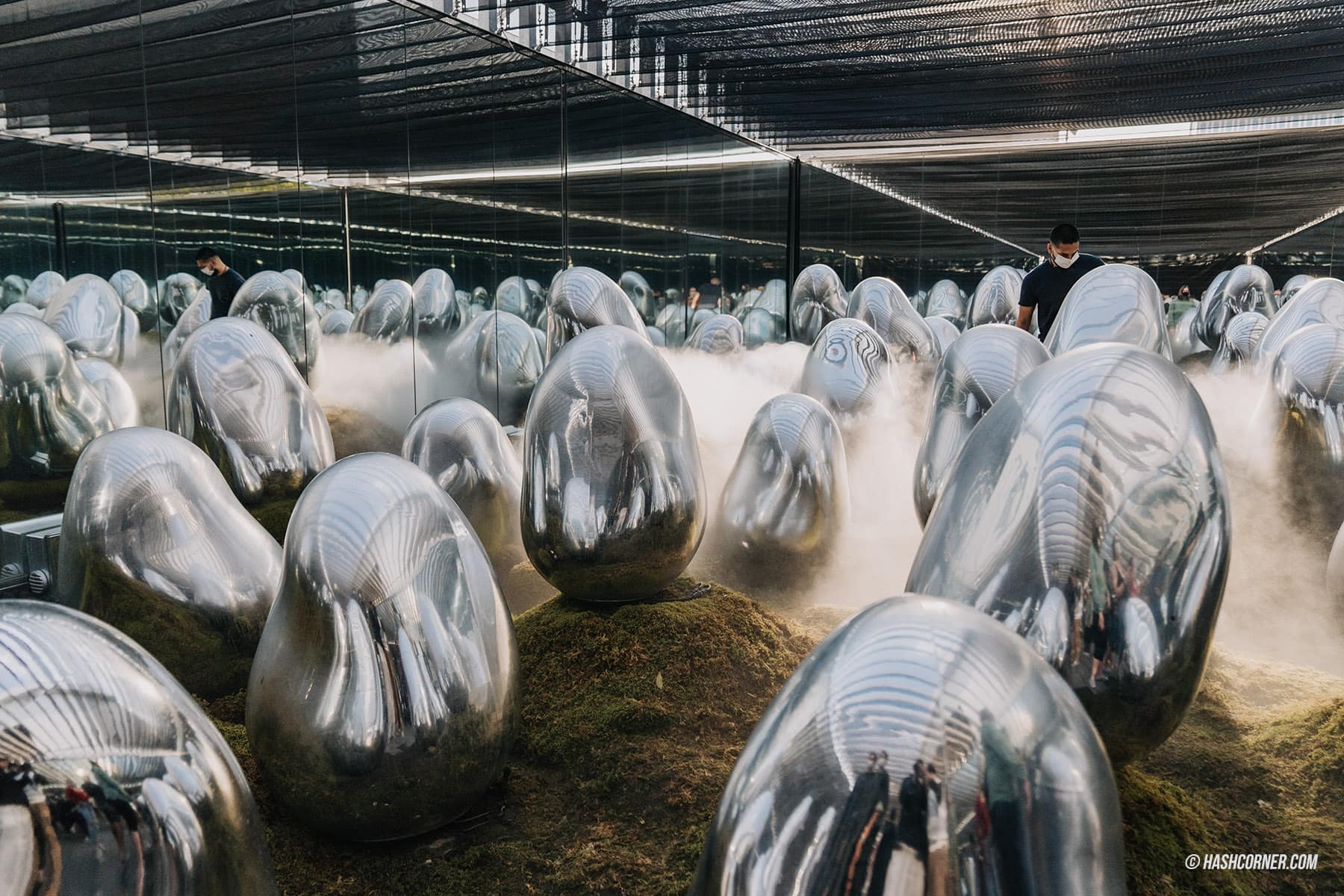 รีวิว teamLab Planets TOKYO x โตเกียว ญี่ปุ่น
