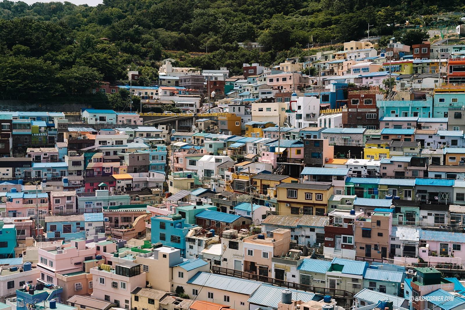 รีวิว หมู่บ้านวัฒนธรรมคัมชอน (Gamcheon Culture Village) x ปูซาน หมู่บ้านสุดคิวท์ที่ต้องมา