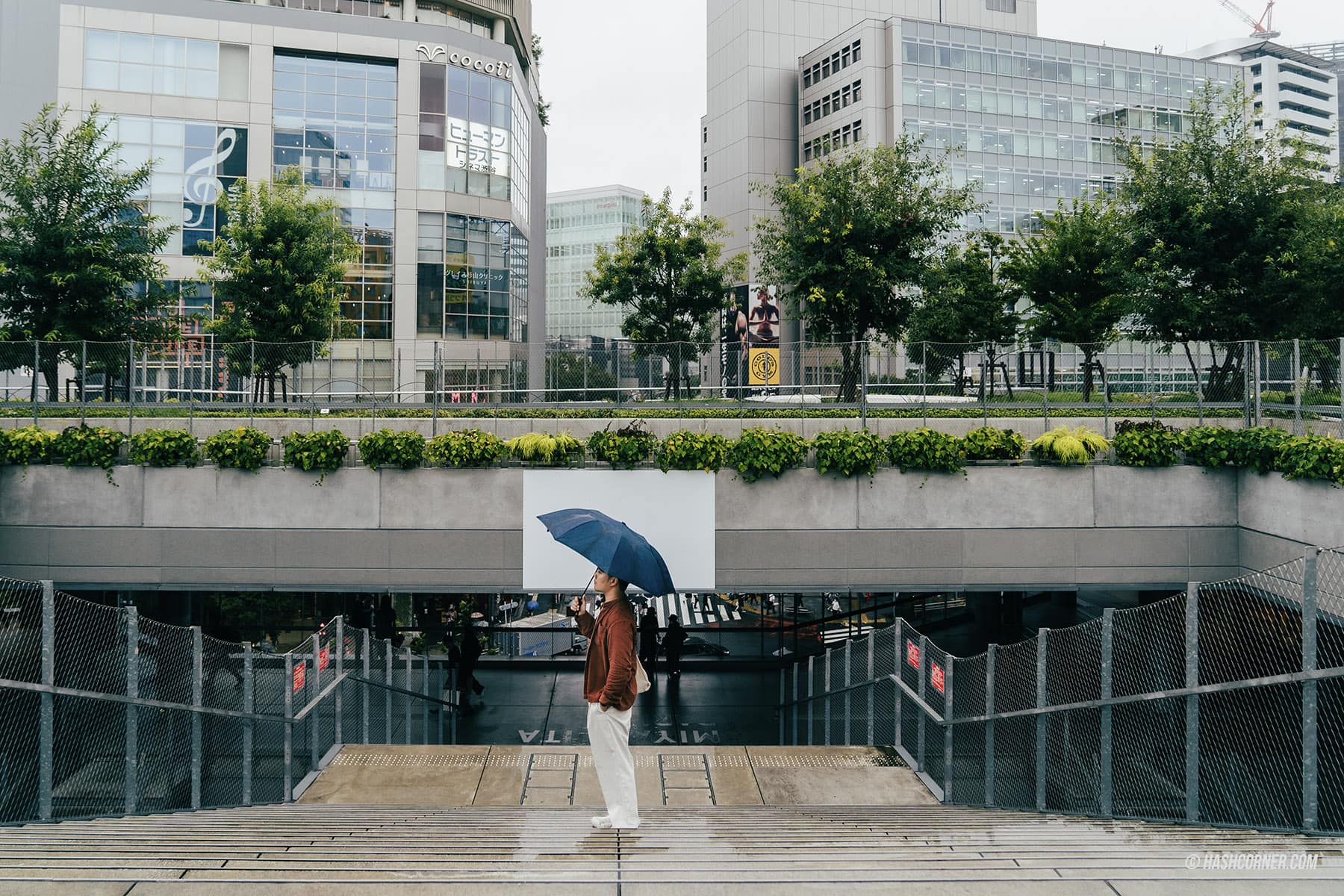 รีวิว ชิบูย่า (Shibuya) x โตเกียว ย่านครบเครื่องเรื่องกิน เที่ยว ช้อป