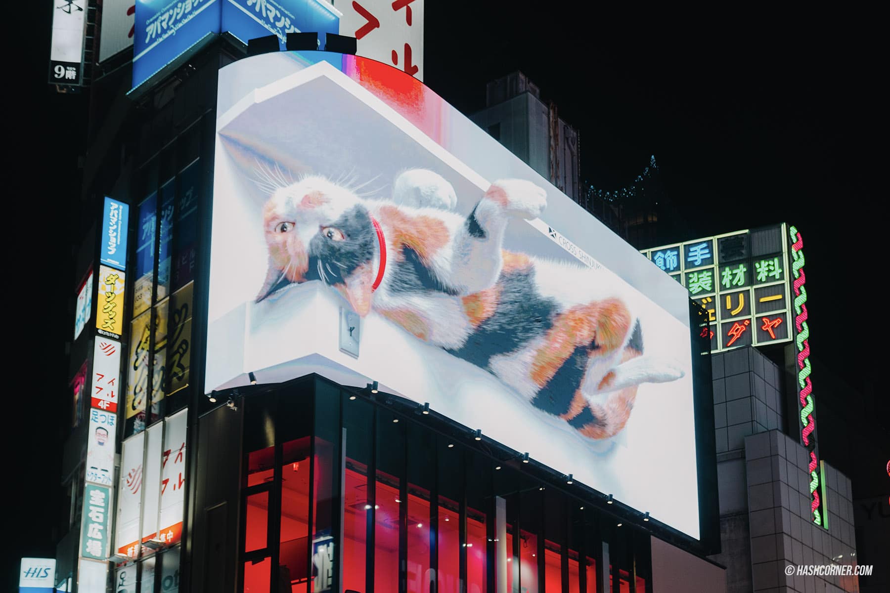รีวิว คาบูกิโจ (Kabukicho) x โตเกียว เที่ยวย่านราตรีโคมแดงสุดคึกคัก