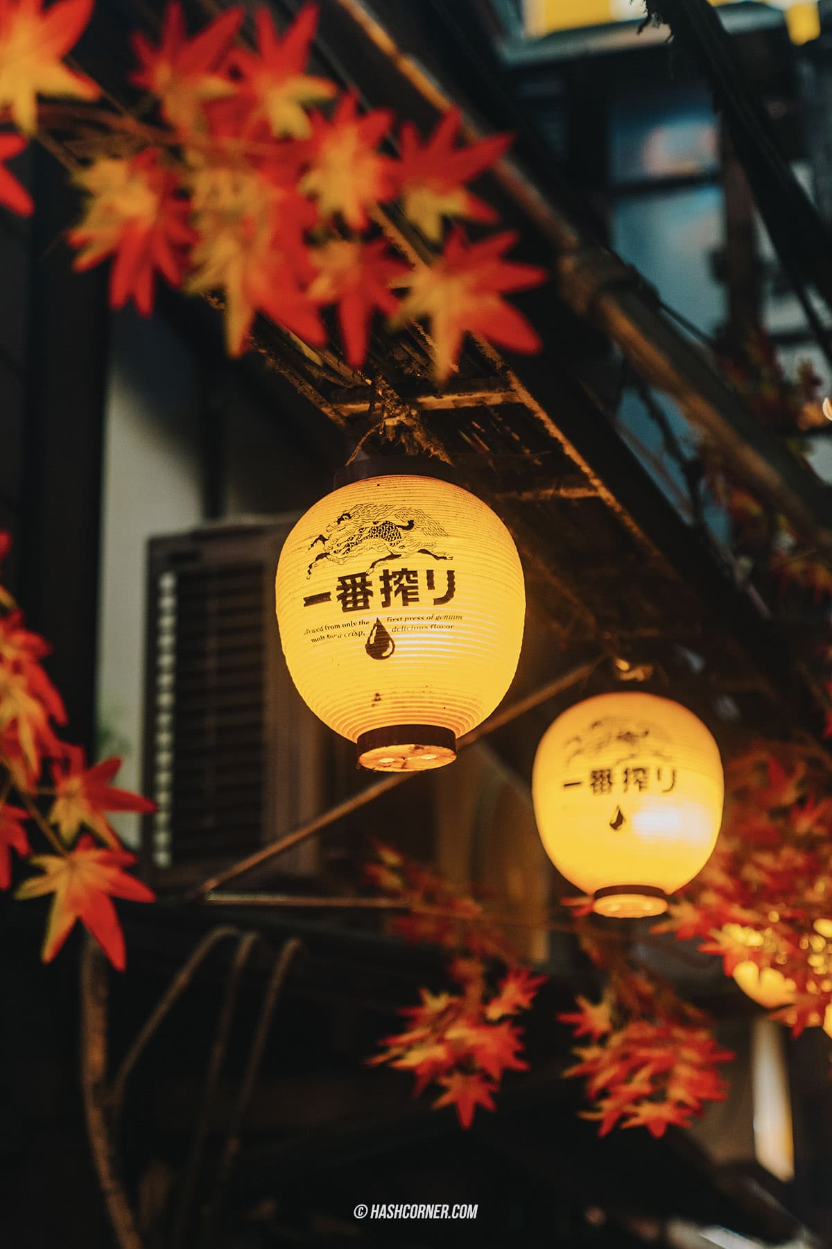 รีวิว คาบูกิโจ (Kabukicho) x โตเกียว เที่ยวย่านราตรีโคมแดงสุดคึกคัก