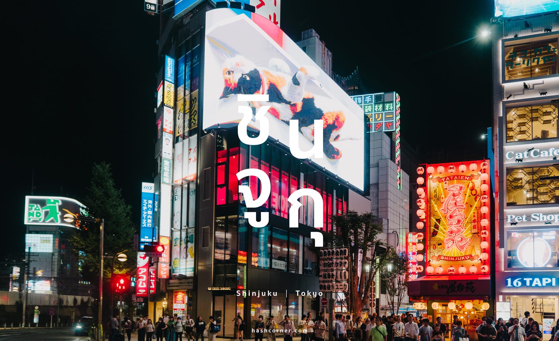 รีวิว ชินจูกุ (Shinjuku) x โตเกียว ย่านบันเทิง กินดื่มครบ!