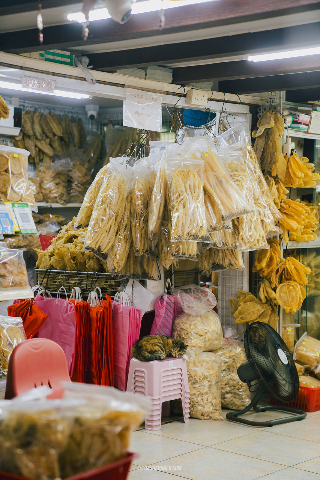 รีวิว หมู่บ้านชาวประมงไท่โอ (Tai O Fishing Village) x ฮ่องกง