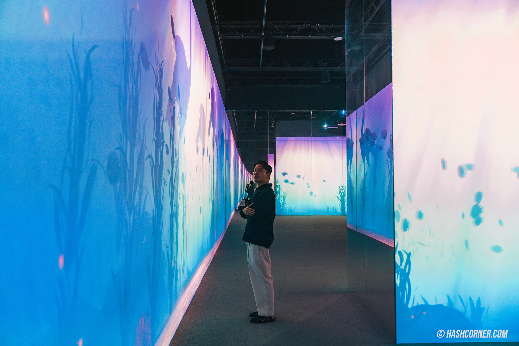 รีวิว ARTE M Hong Kong x ฮ่องกง ศิลปะดิจิทัลสุดคูล