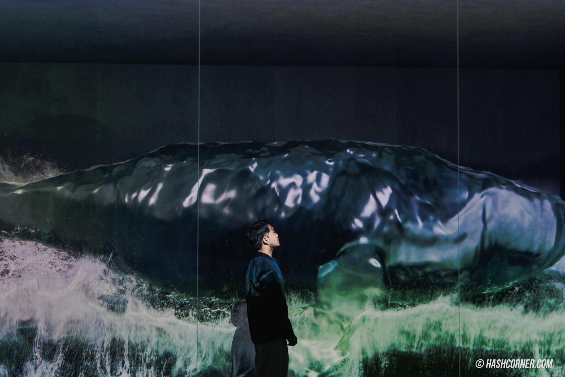 รีวิว ARTE M Hong Kong x ฮ่องกง ศิลปะดิจิทัลสุดคูล