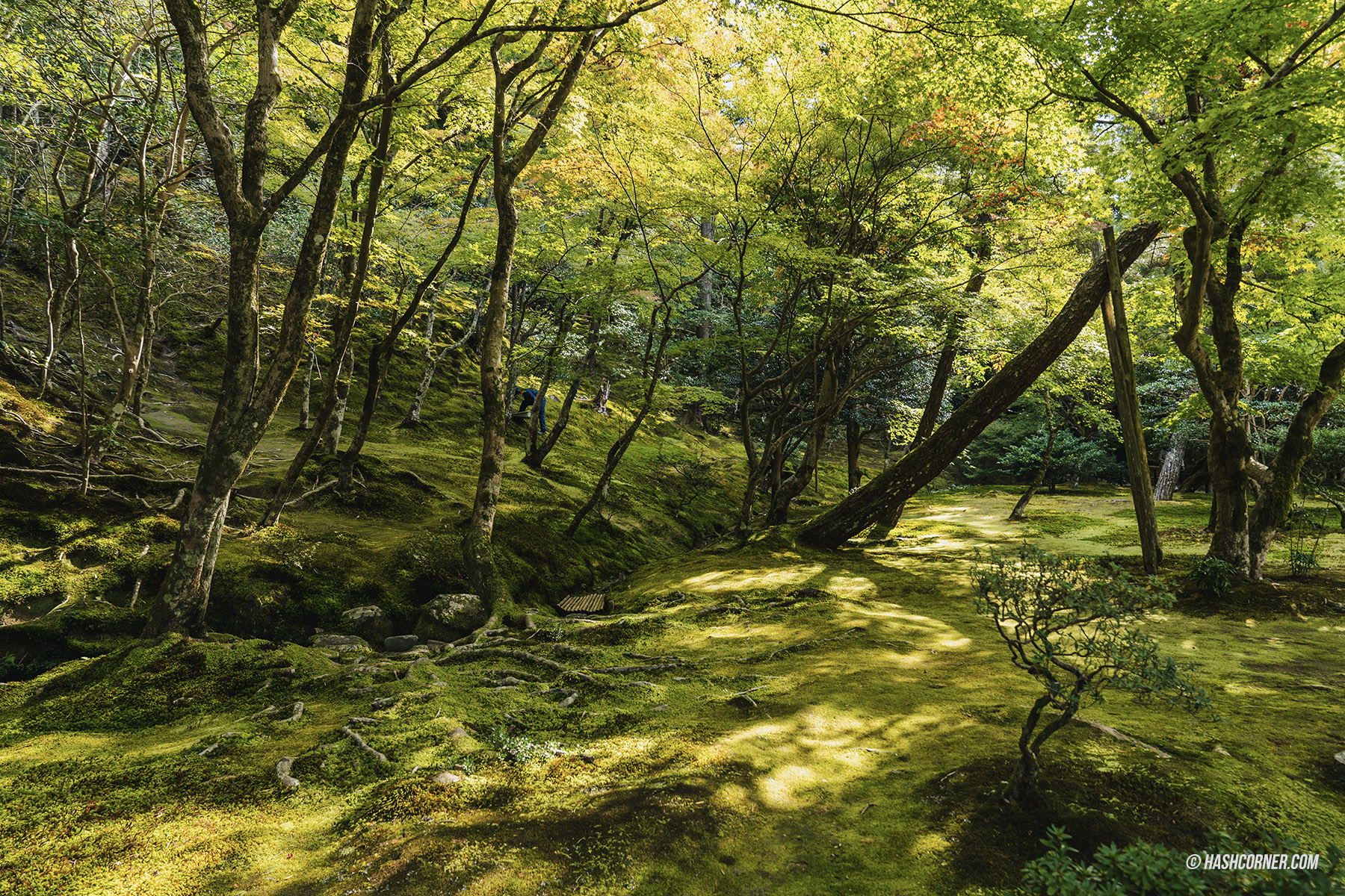 รีวิว วัดกินคะคุจิ (Ginkakuji Temple) x เกียวโต วัดเงินหนึ่งในมรดกโลก